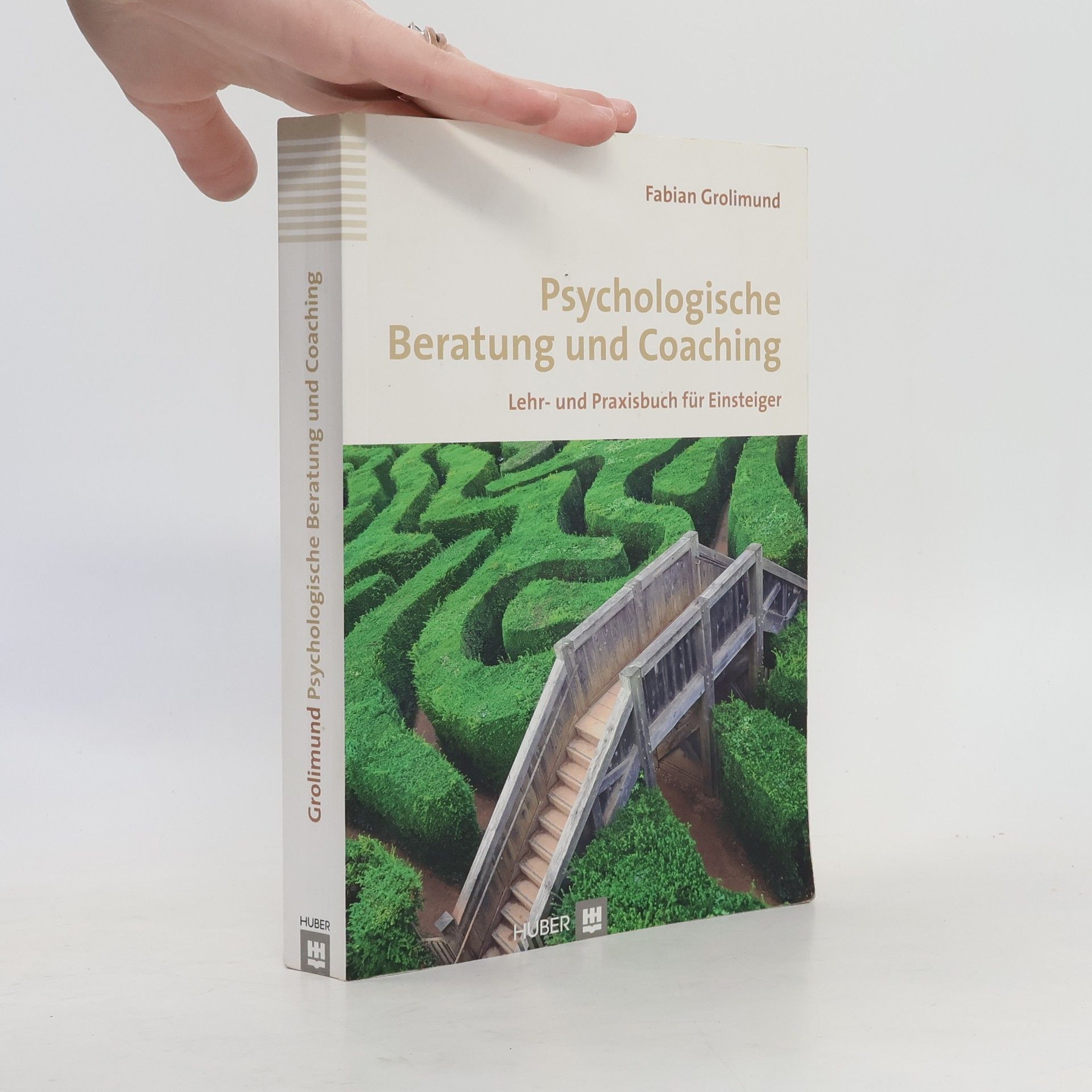 Fabian Grolimund Psychologische Beratung und Coaching