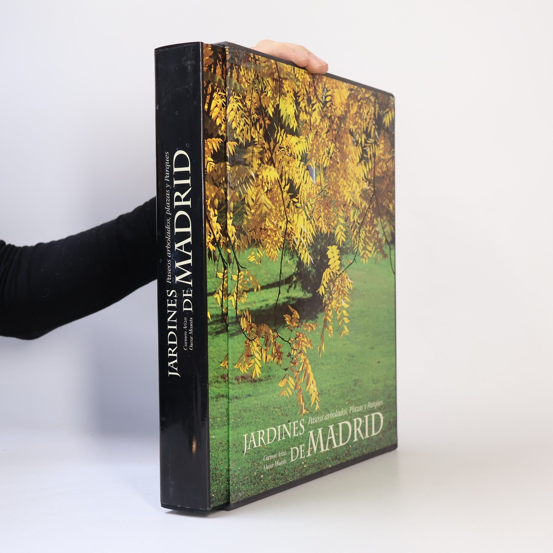 Carmen Ariza Muñoz Jardines de Madrid