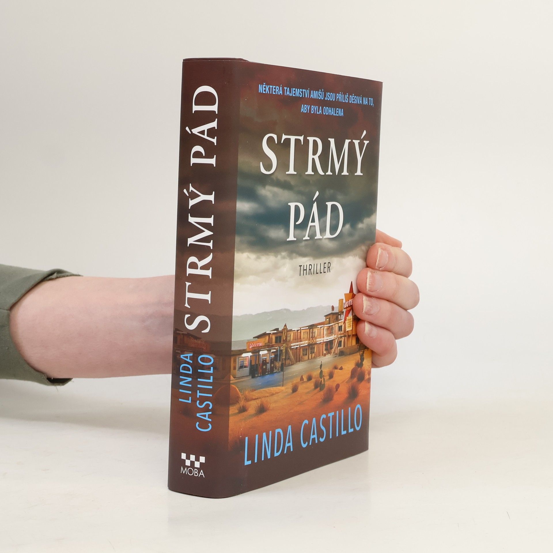 Linda Castillo Strmý pád