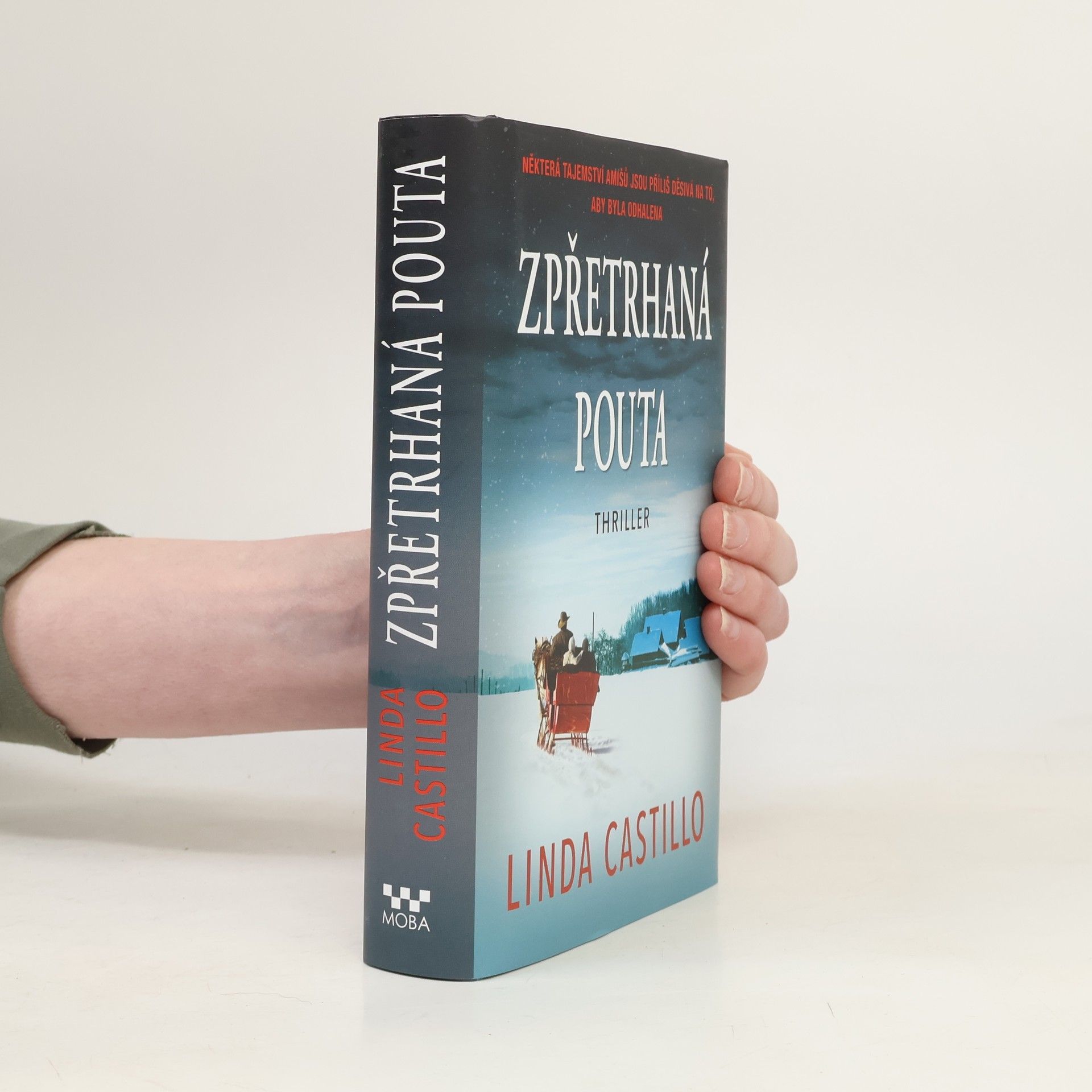 Linda Castillo Zpřetrhaná pouta