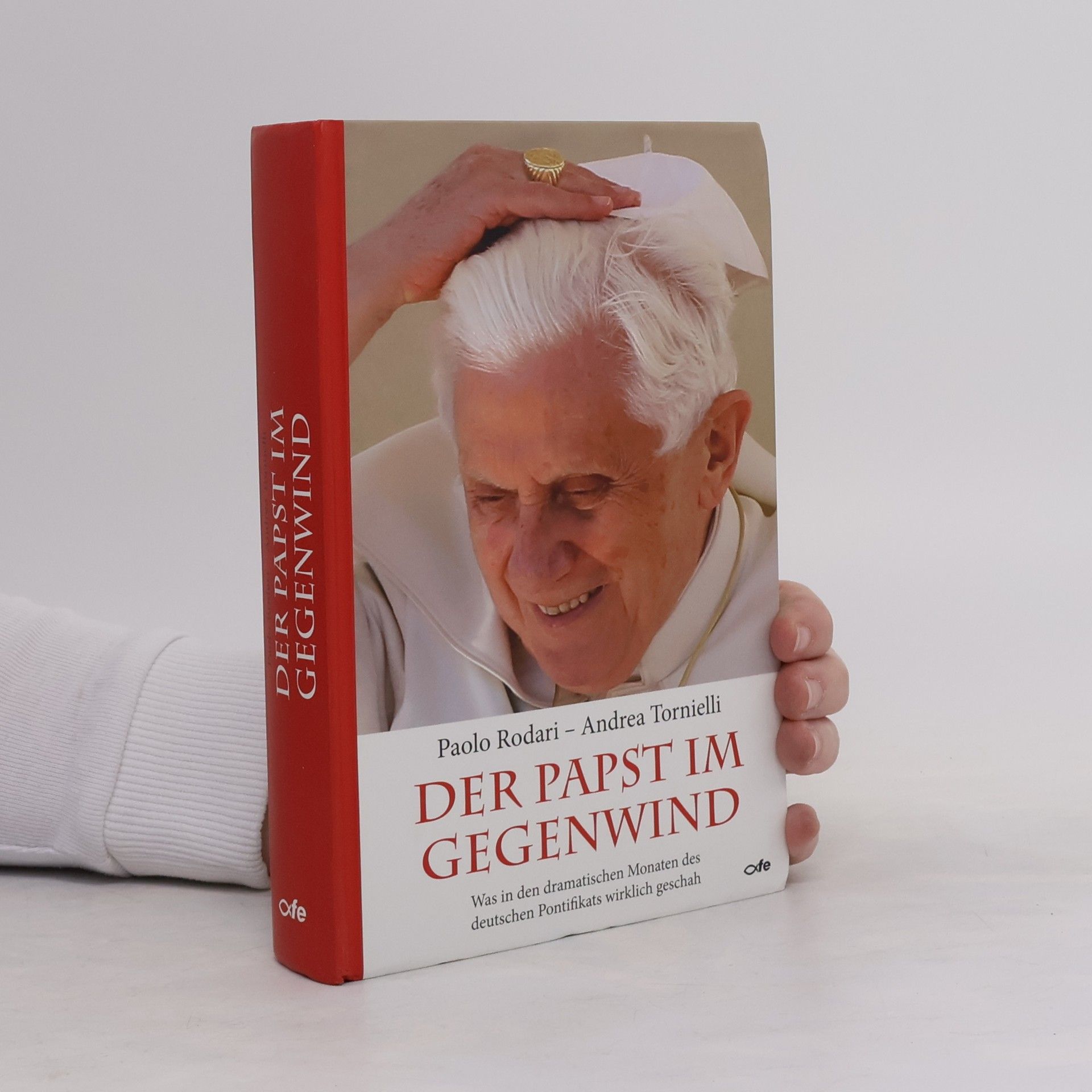 Der Papst im Gegenwind