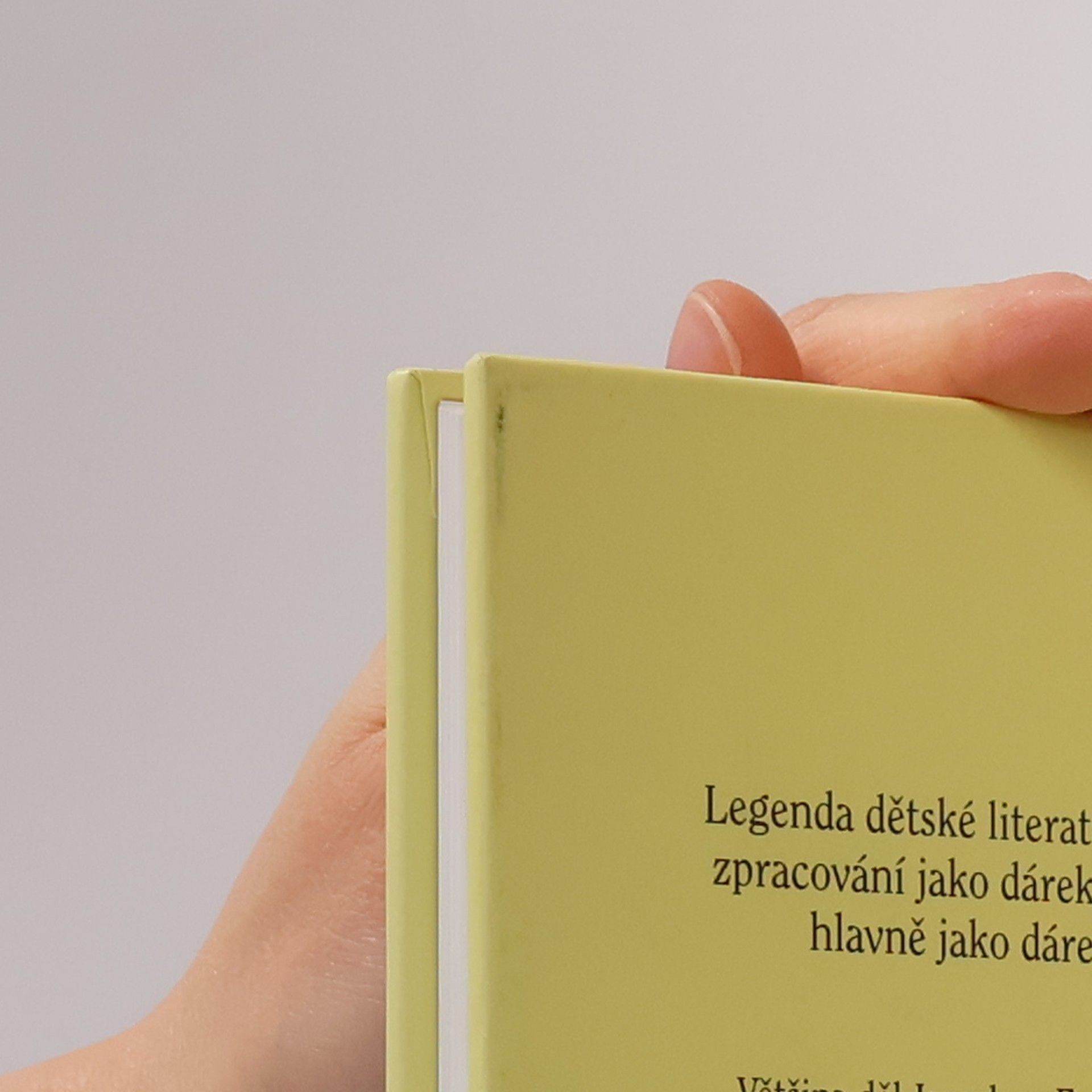 Jaroslav Foglar Hoši od Bobří řeky : kreslený seriál