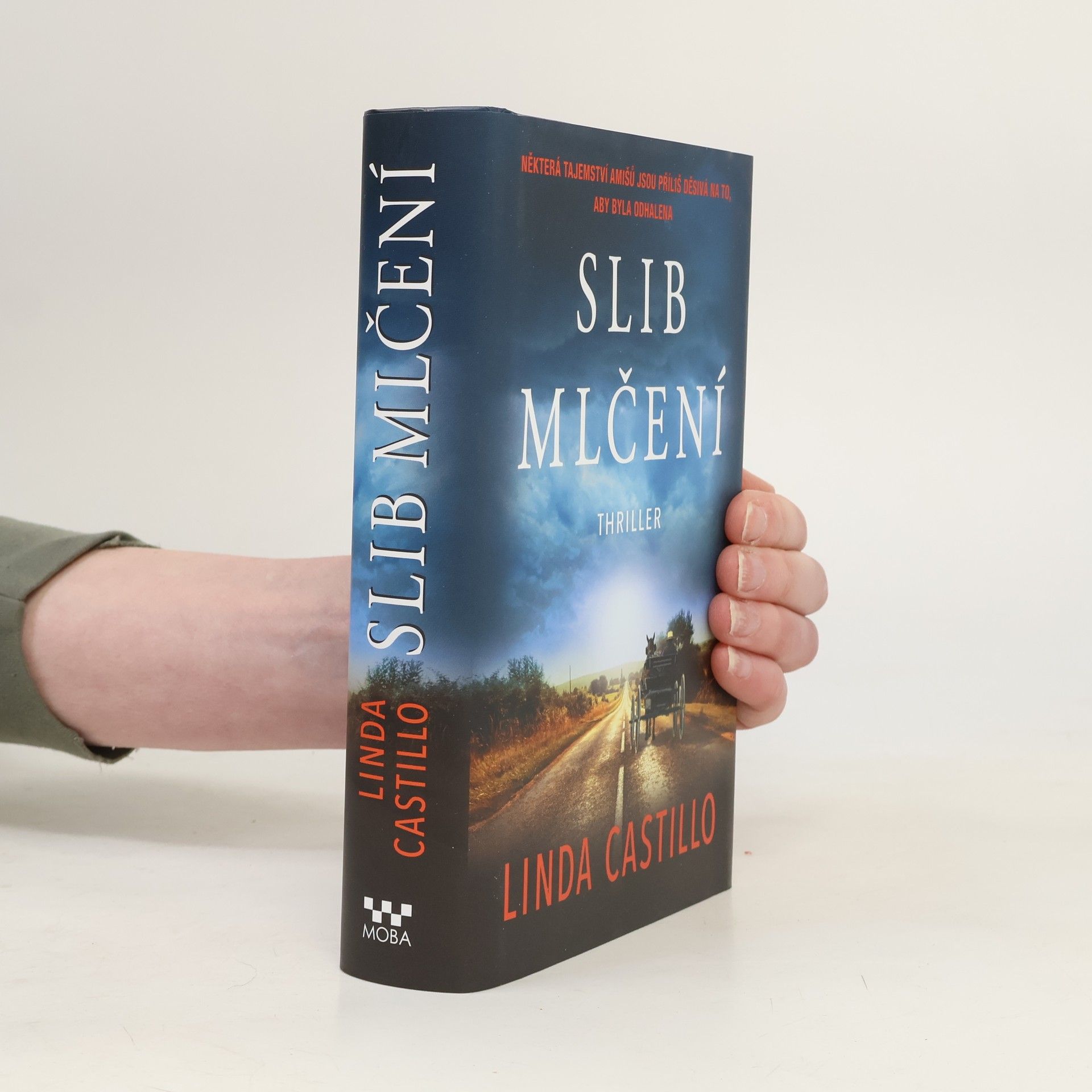 Linda Castillo Slib mlčení