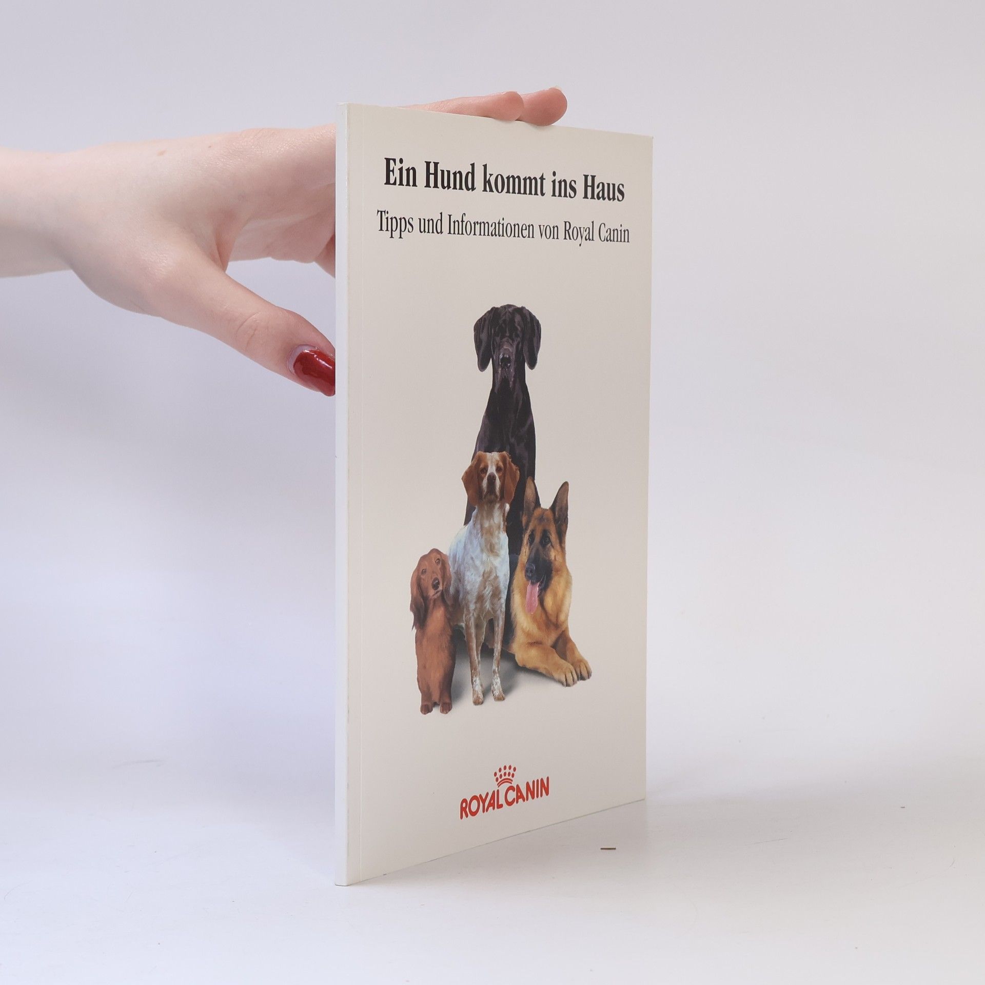 Autores varios Ein Hund kommt ins Haus