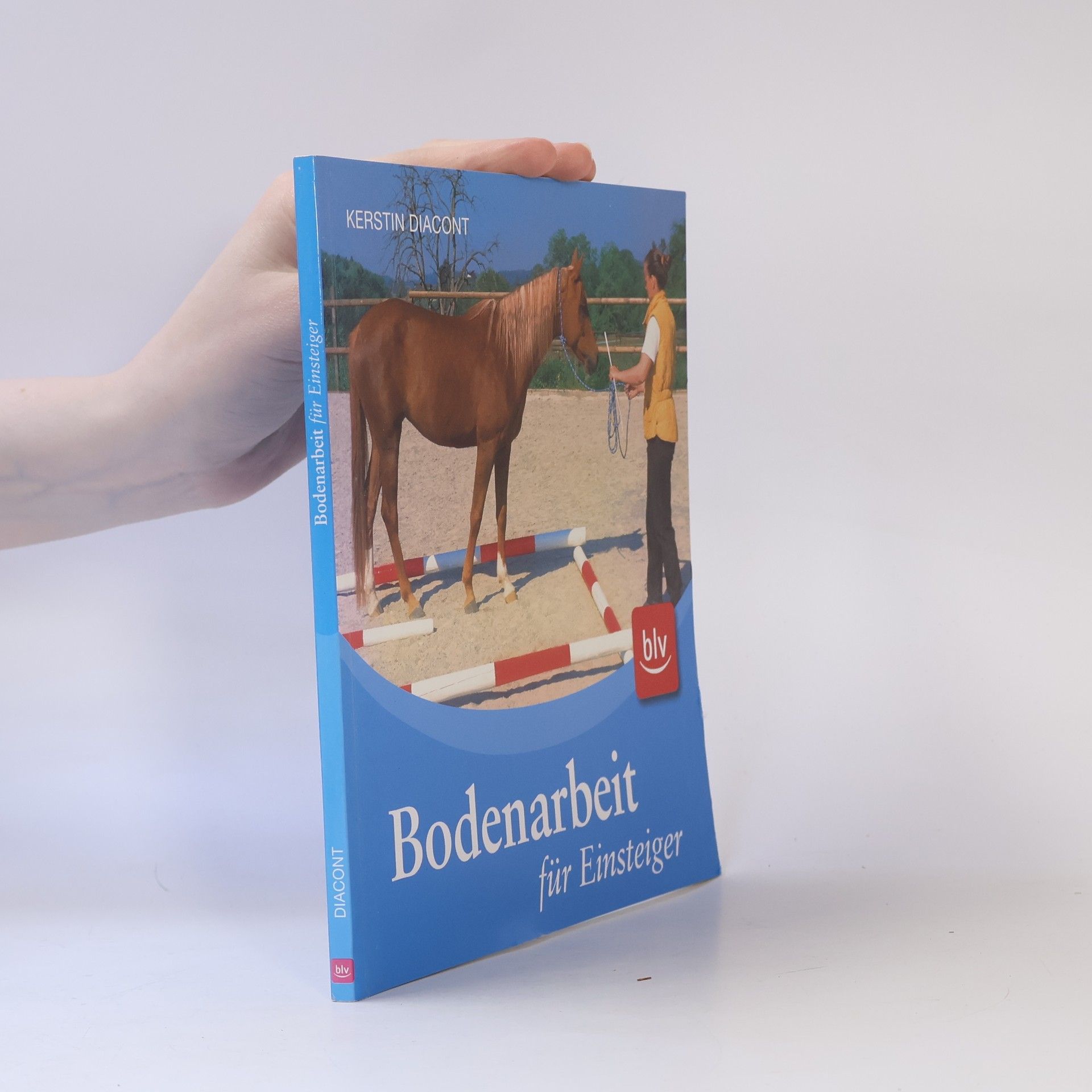 Bodenarbeit für Einsteiger