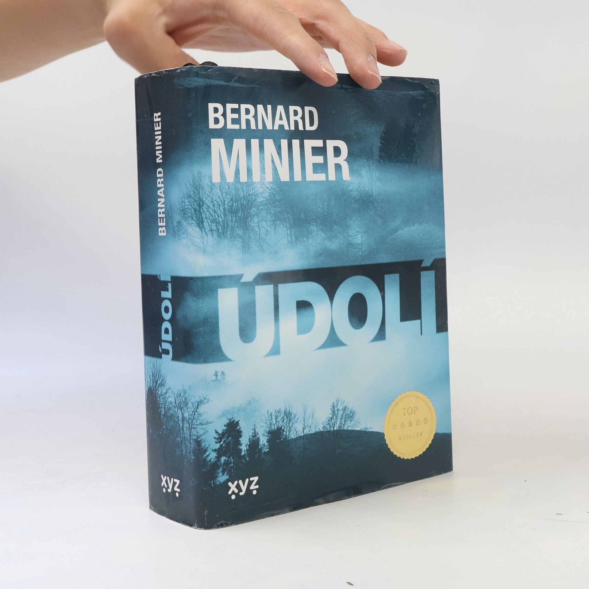 Bernard Minier Údolí