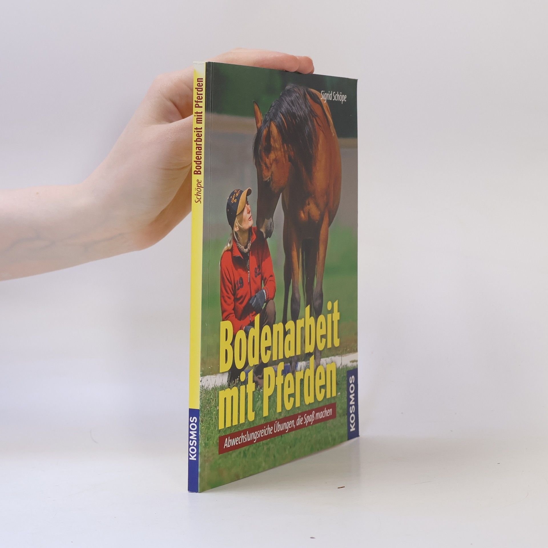 Bodenarbeit mit Pferden