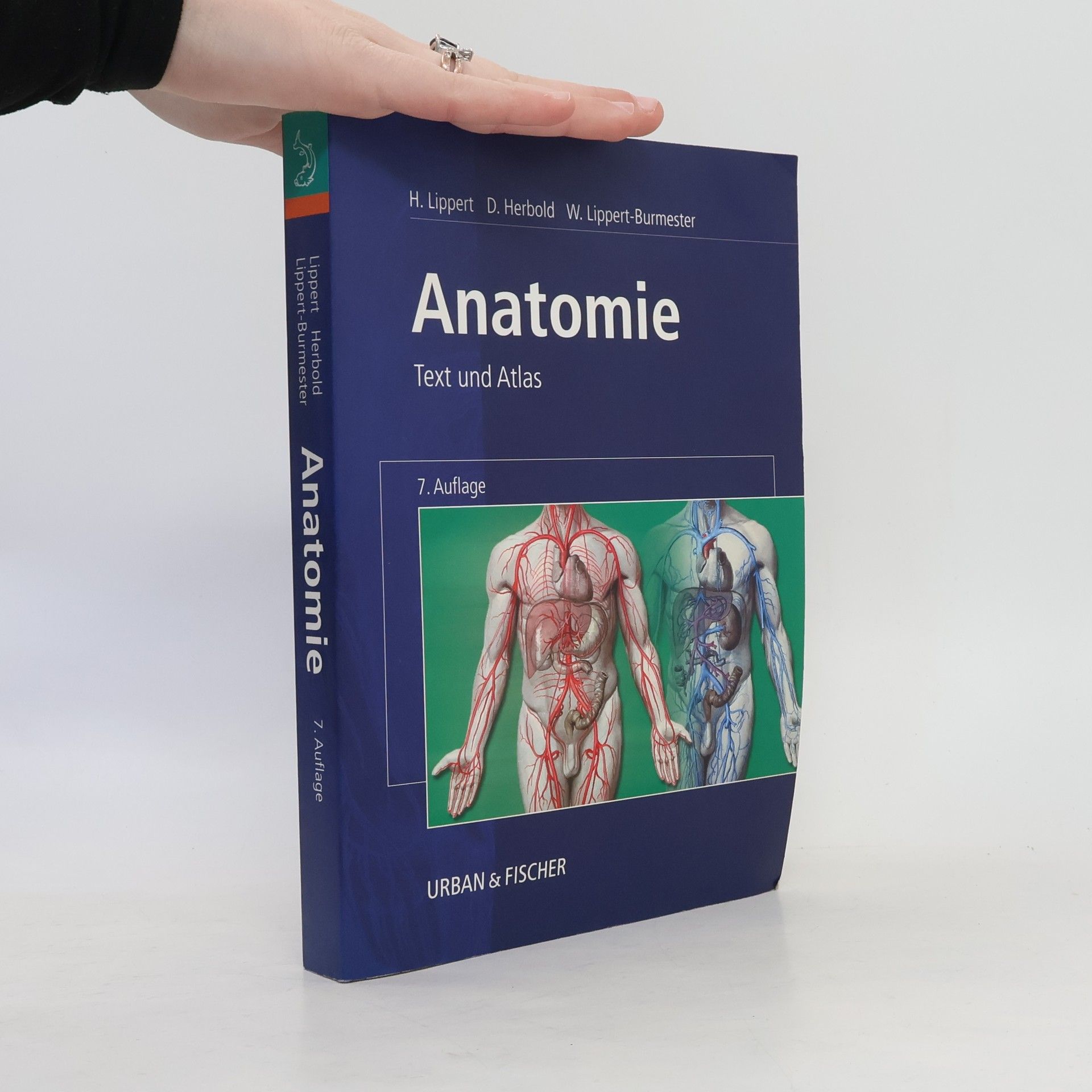 Herbert Lippert Anatomie
