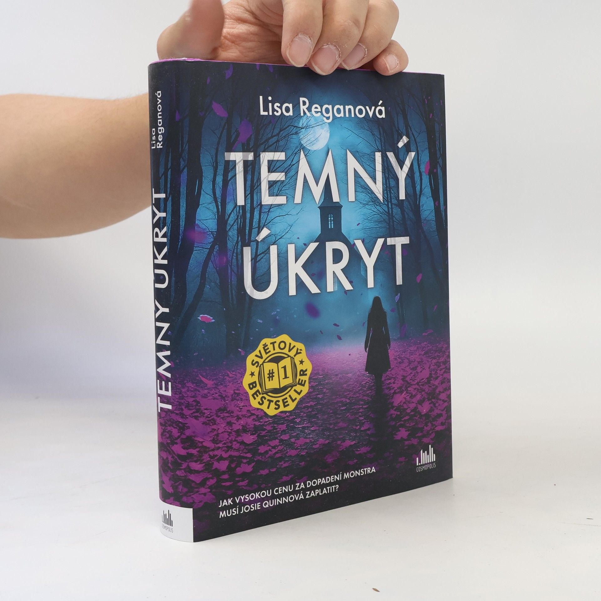 Lisa Regan Temný úkryt