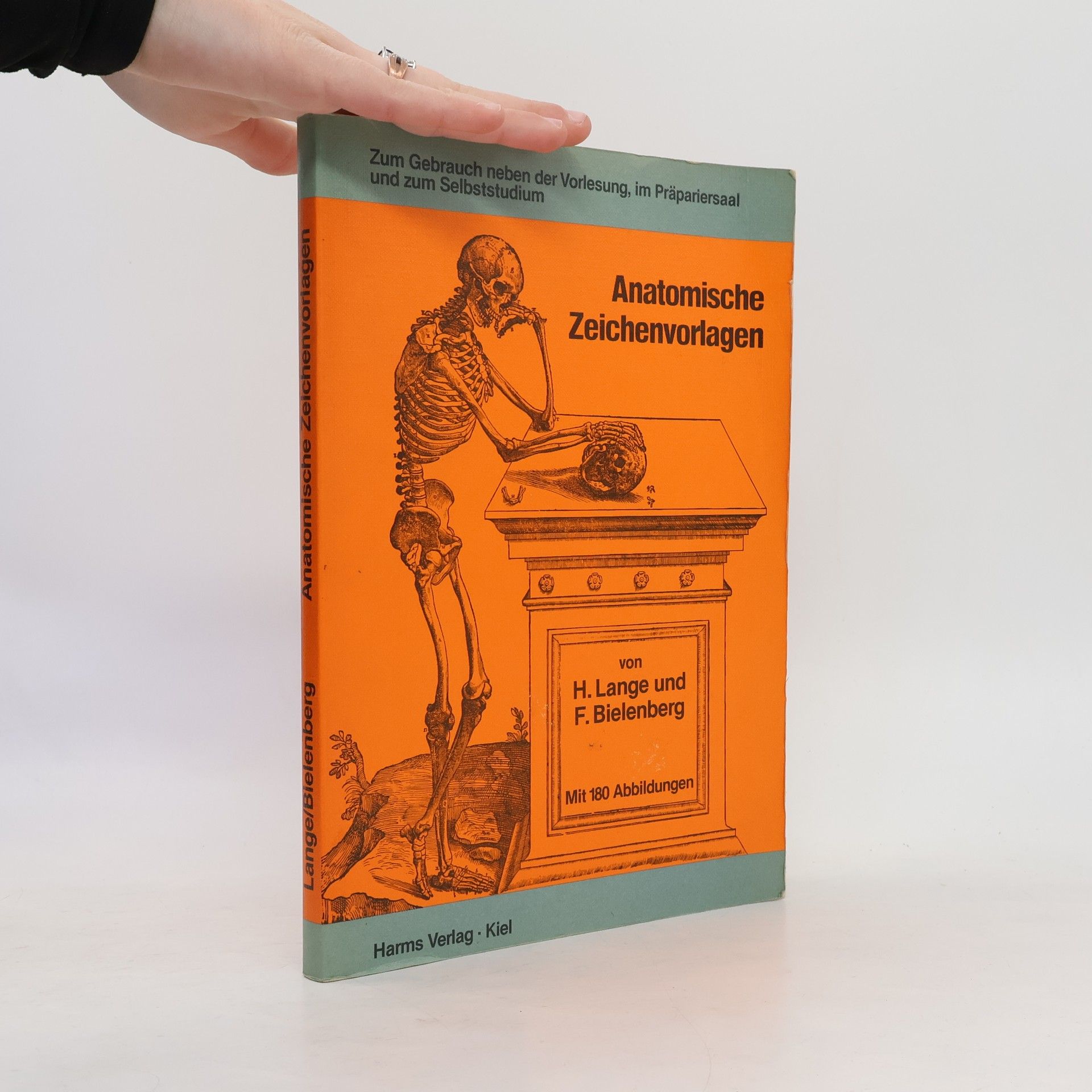 Frauke Bielenberg Anatomische Zeichenvorlagen