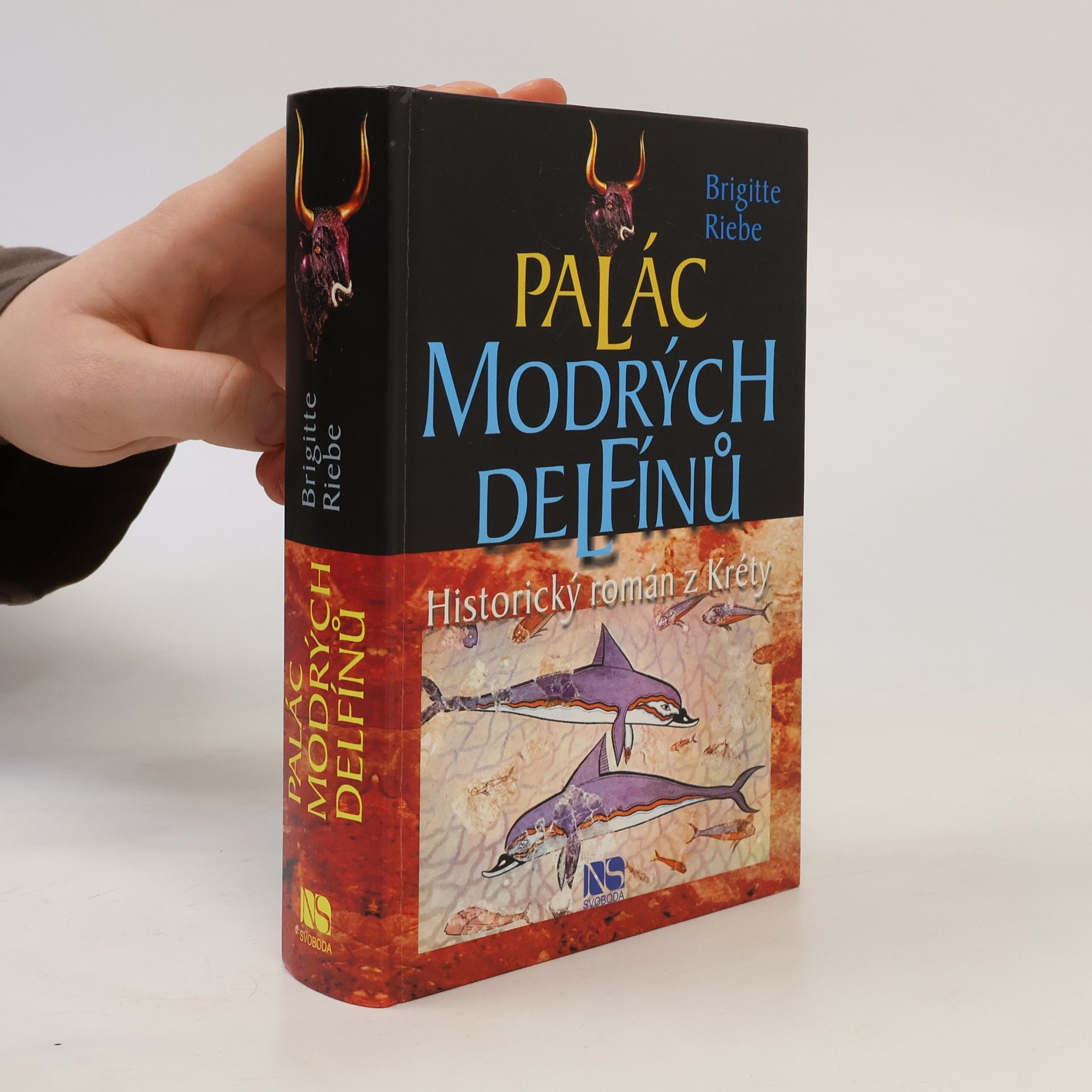 Brigitte Riebe Palác modrých delfínů