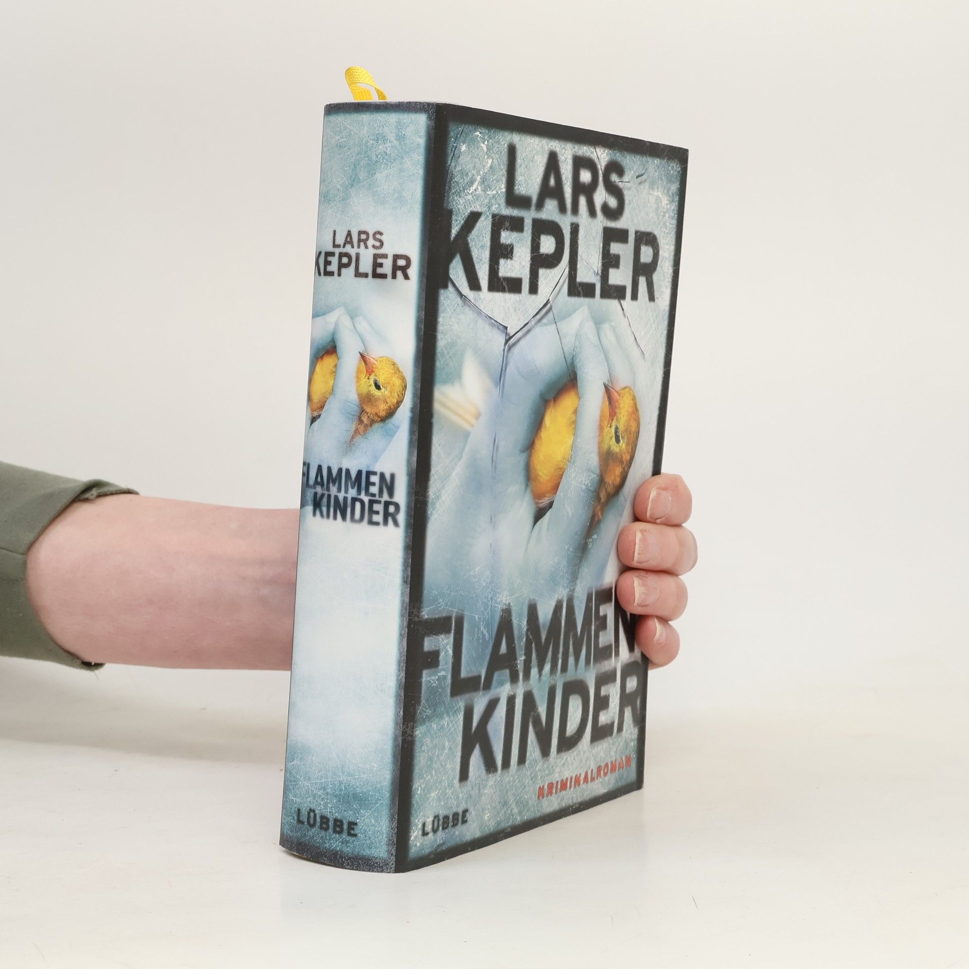 Lars Kepler Flammenkinder