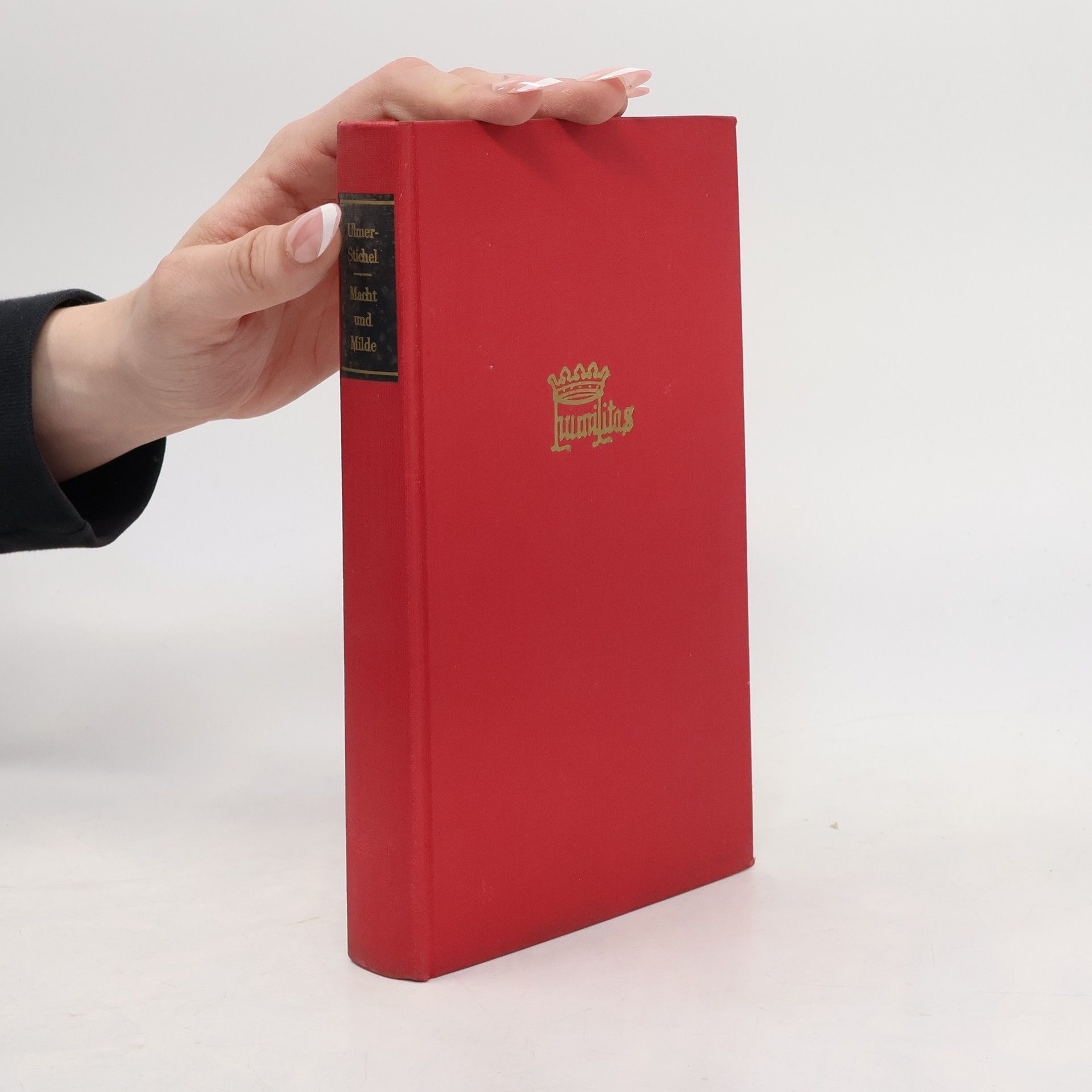 Dörthe Ulmer-Stichel Macht und Milde