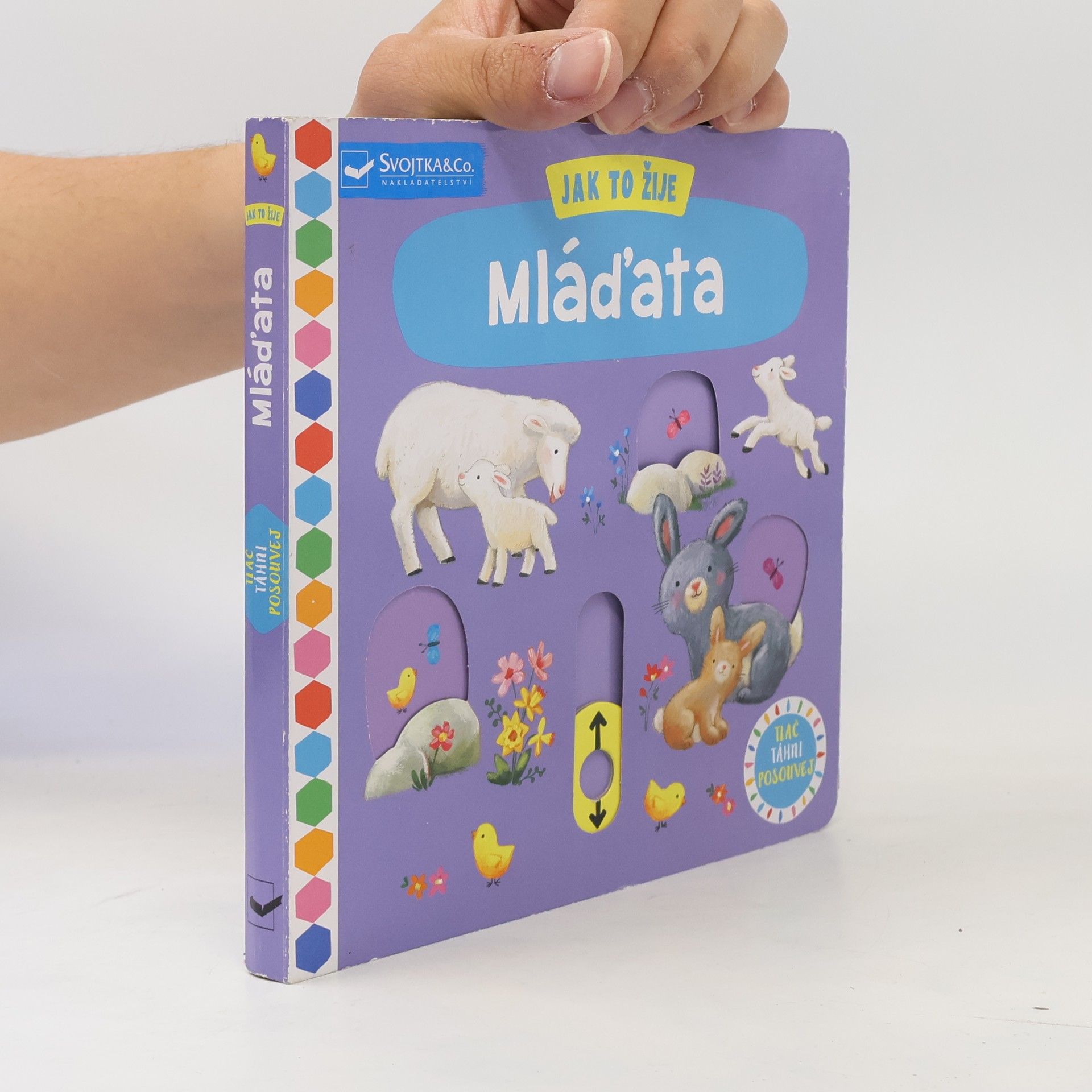 Ag Jatkowska Jak to žije mláďata