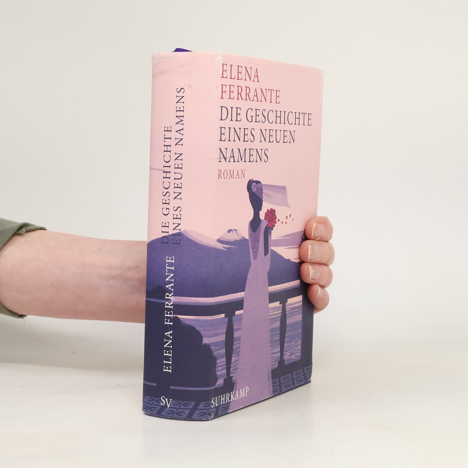Elena Ferrante Die Geschichte eines neuen Namens: Jugendjahre