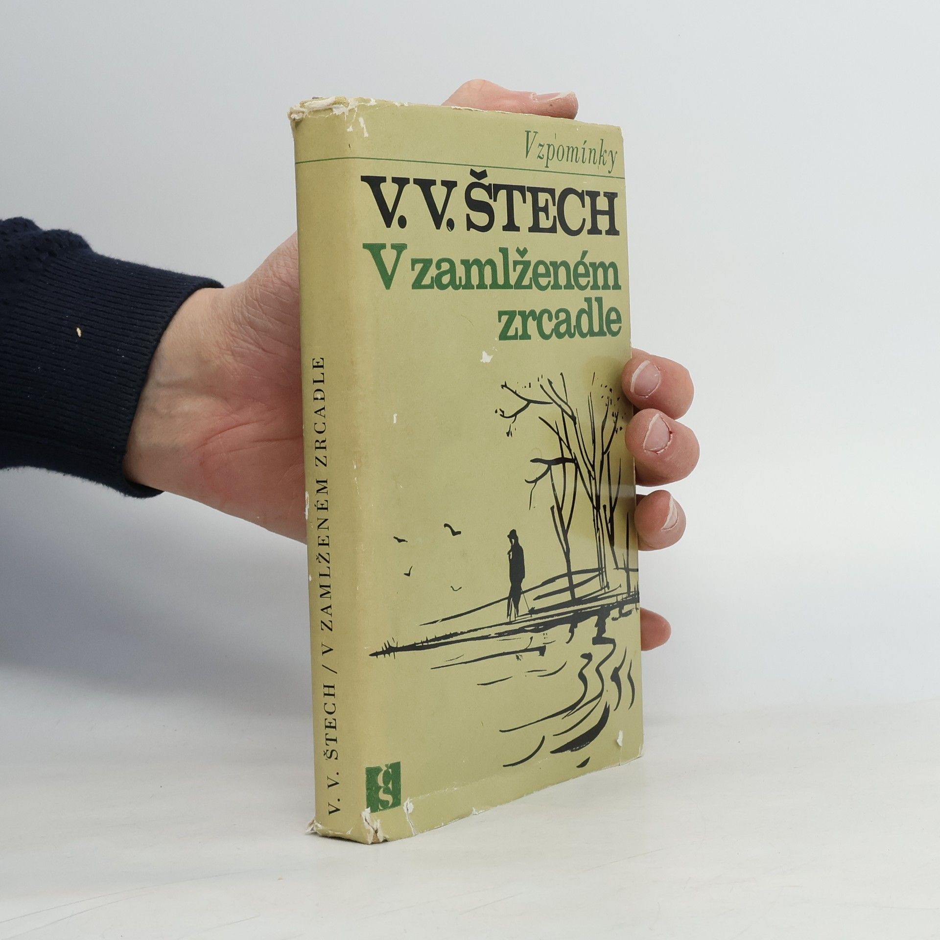 V. V. Štech V zamlženém zrcadle 1