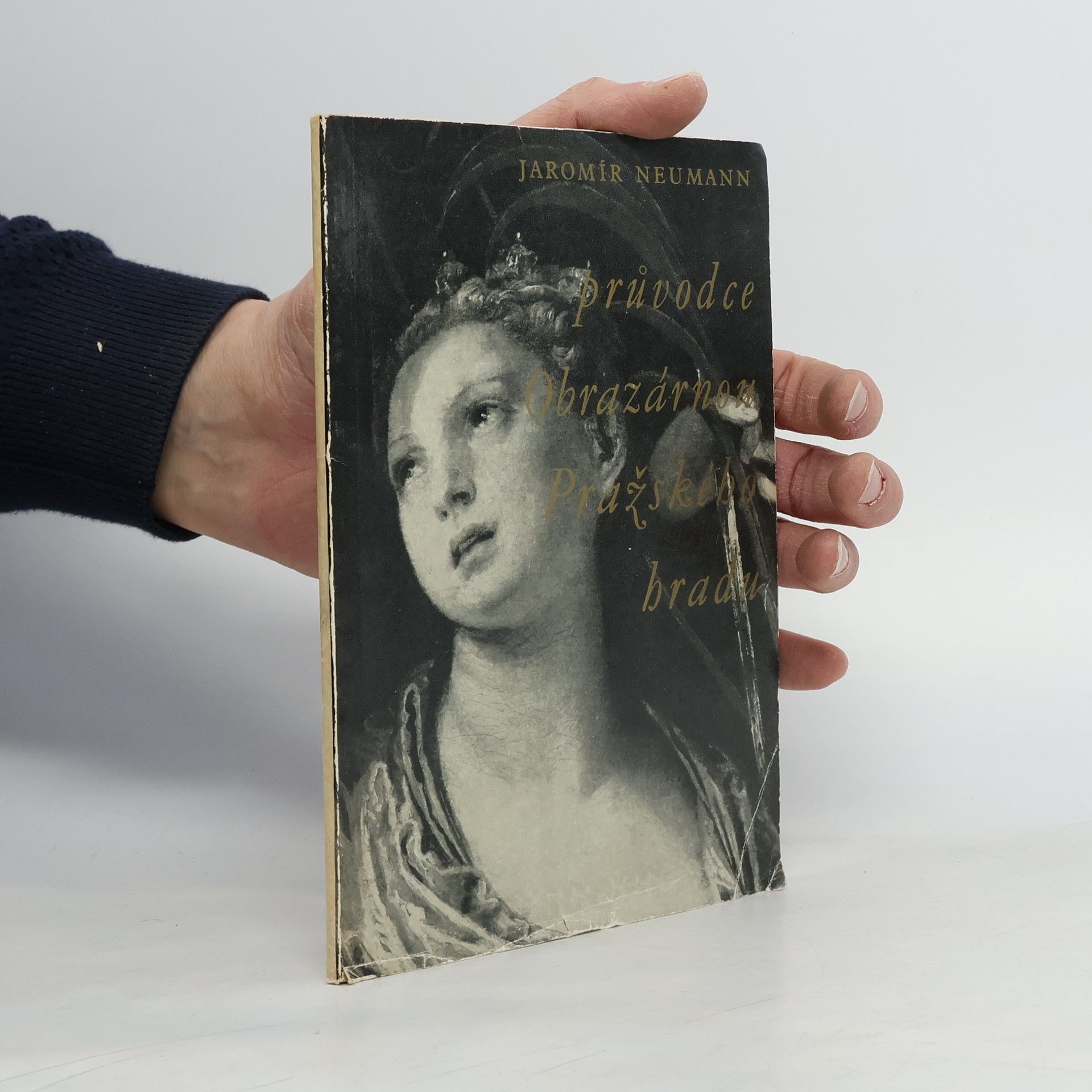 Průvodce Obrazárnou Pražského hradu