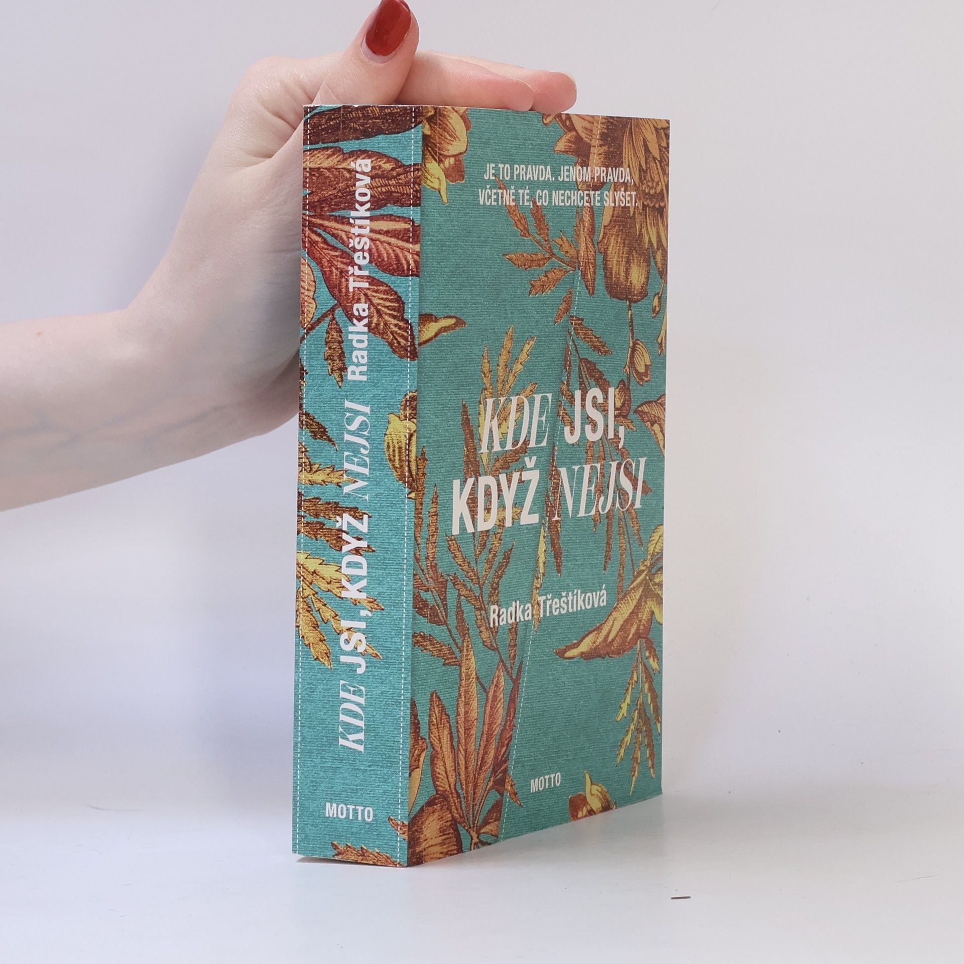 Radka Třeštíková Kde jsi, když nejsi