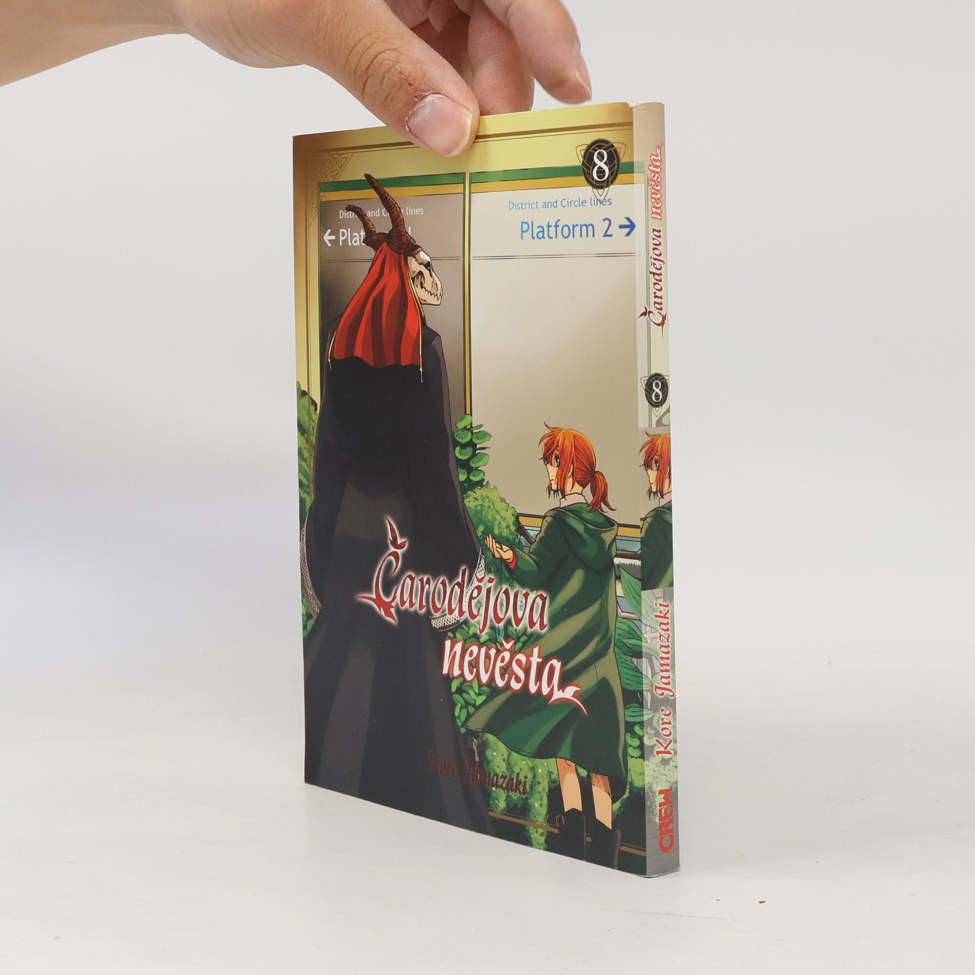 Kore Yamazaki Čarodějova nevěsta 8