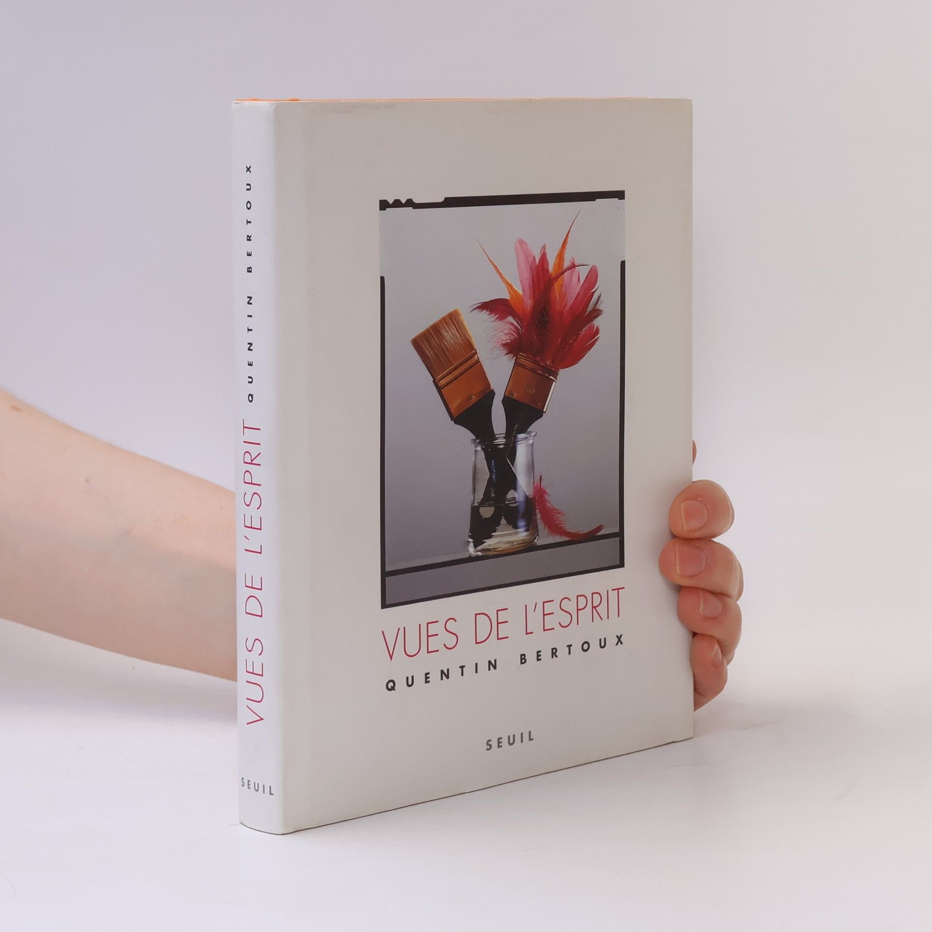 Quentin Bertoux Vues de l'esprit