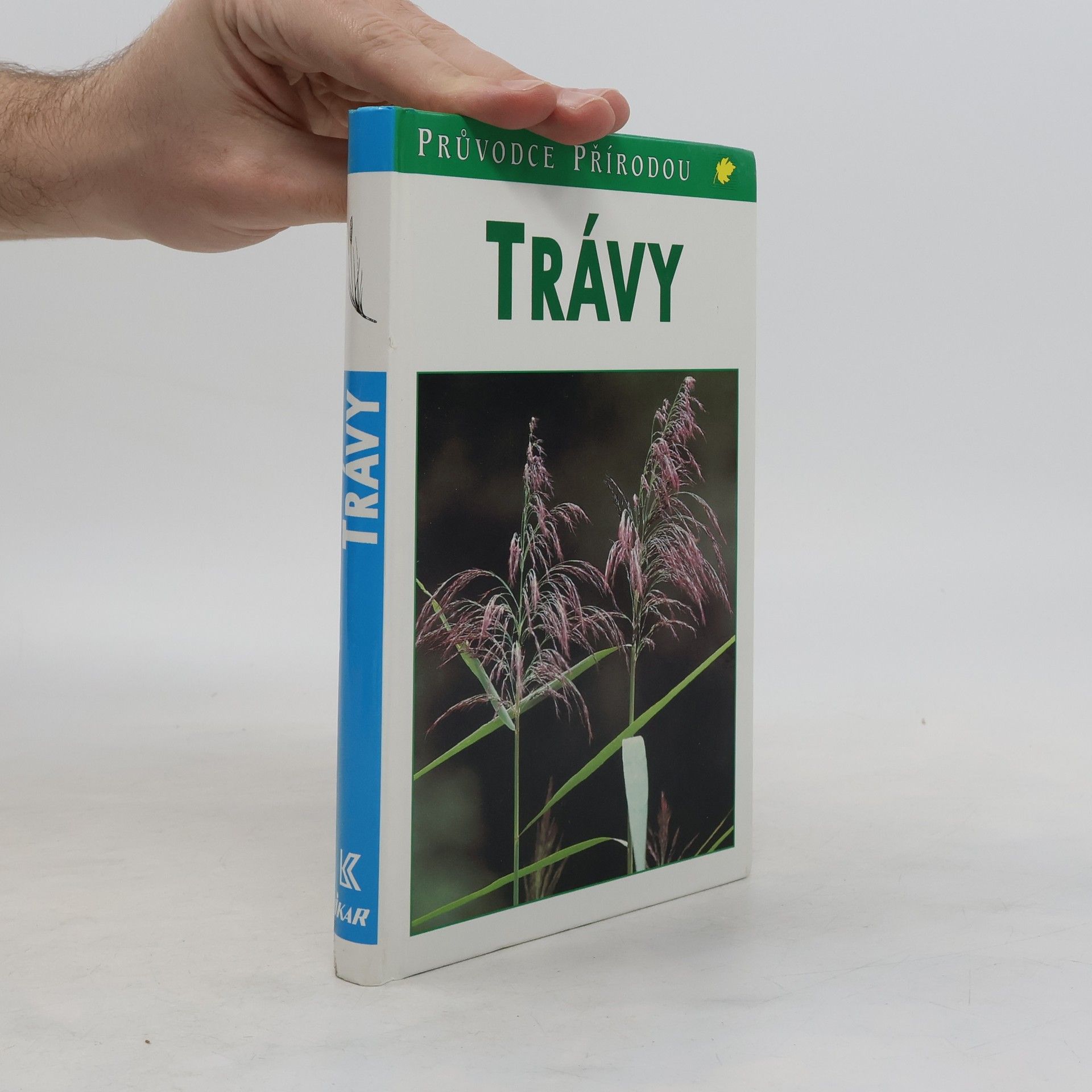 Jürke Grau Trávy : lipnicovité, šáchorovité, sítinovité a rostliny podobné travám Evropy