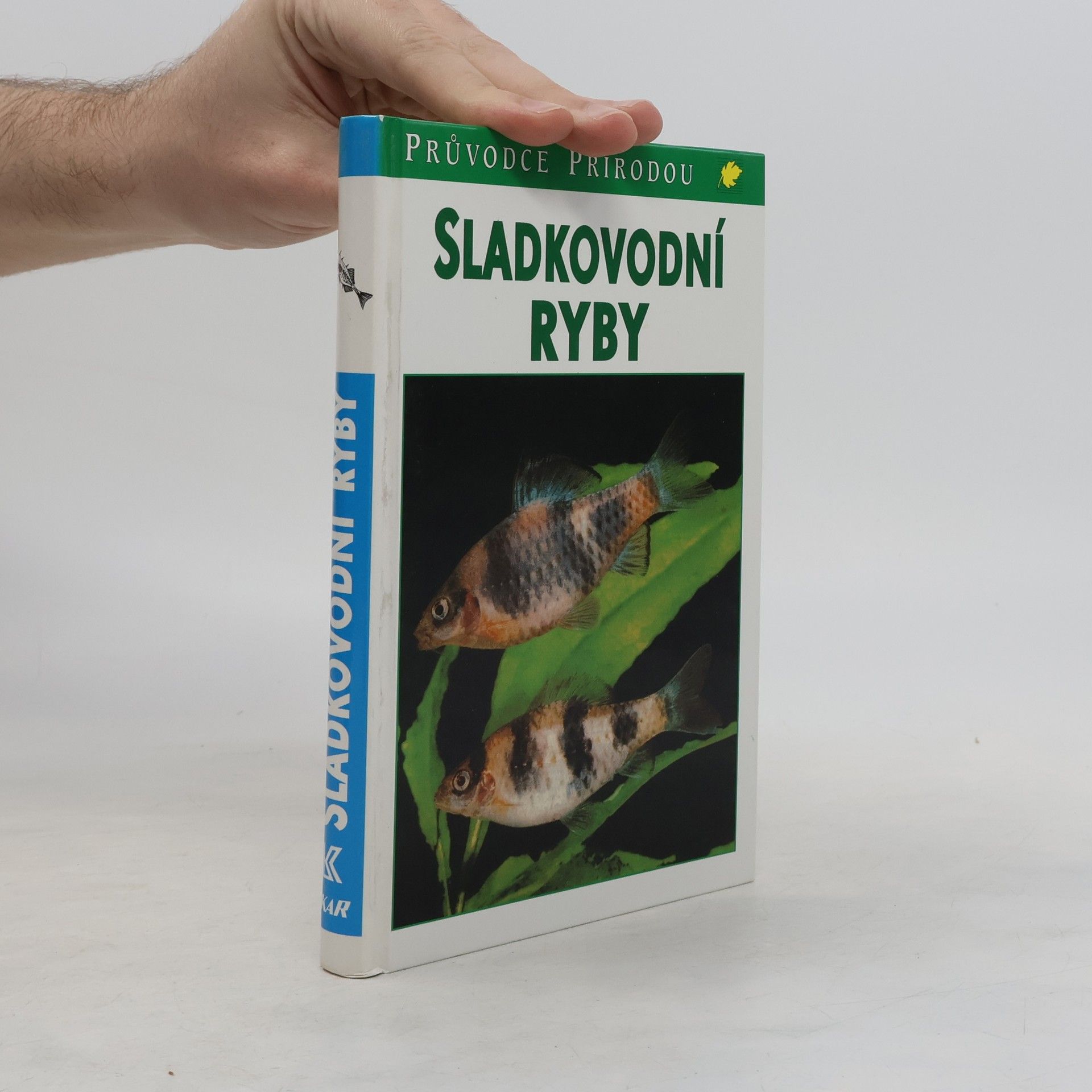 Autores varios Sladkovodní ryby v evropských vodách