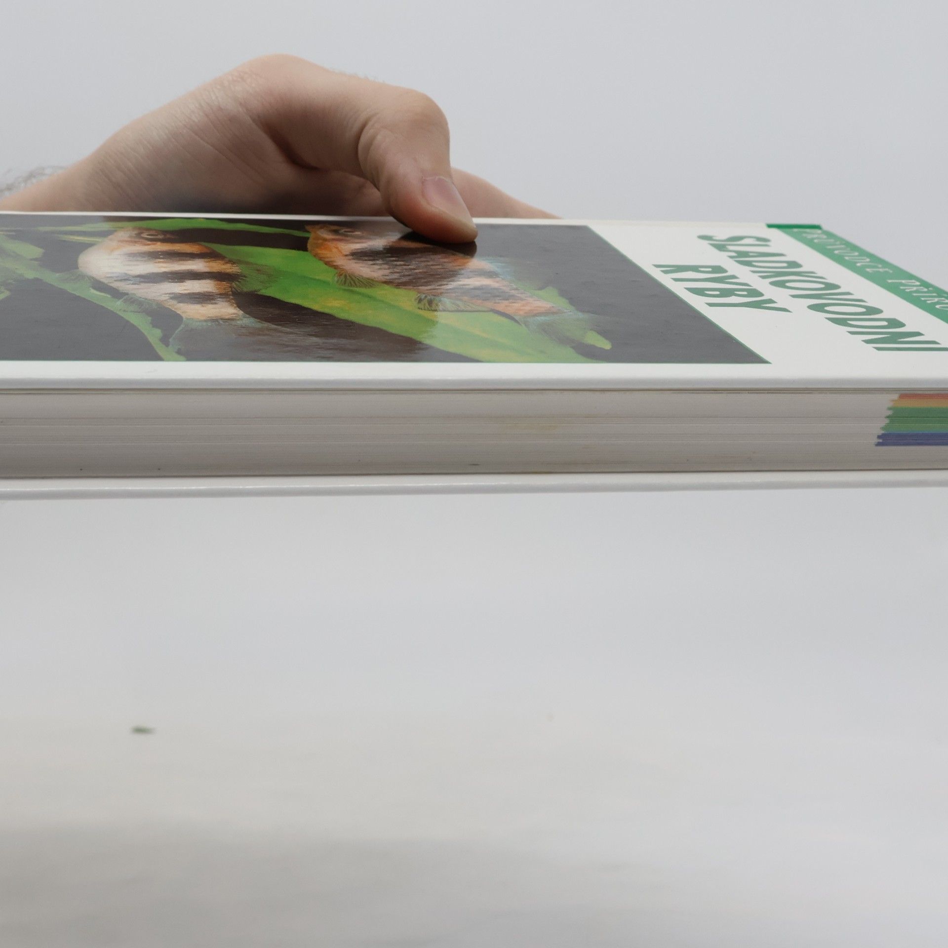 Autores varios Sladkovodní ryby v evropských vodách