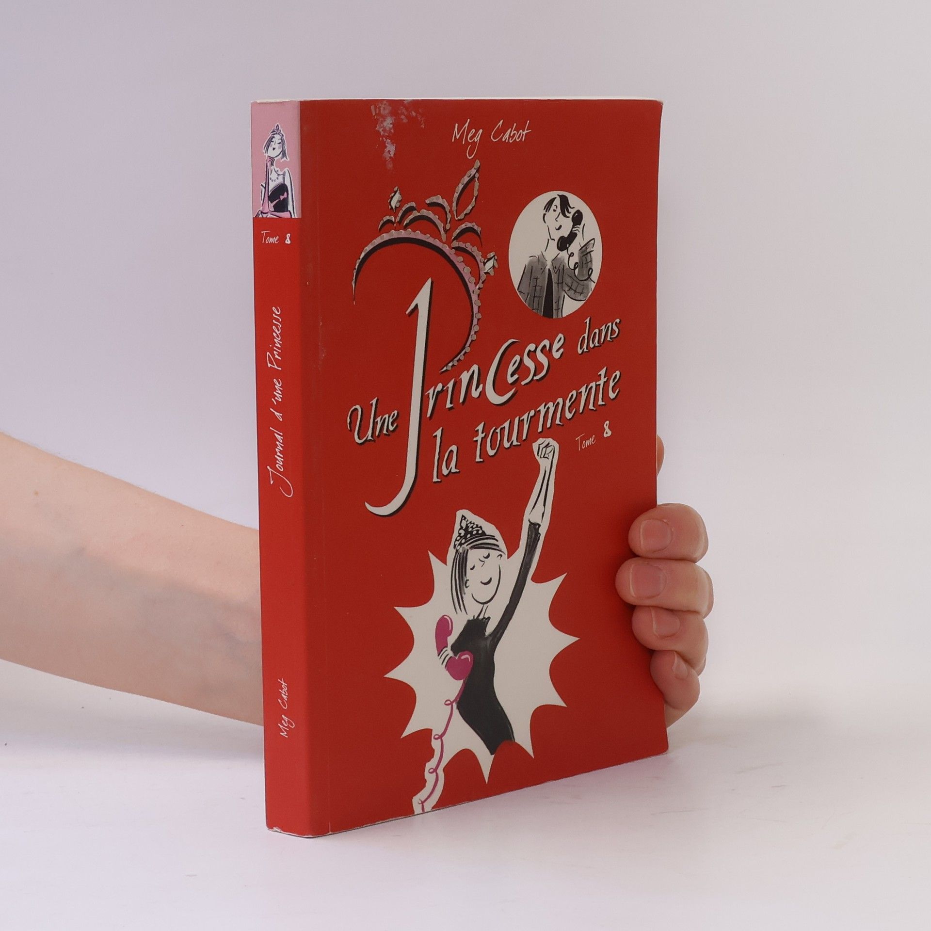 Patricia Cabot Une princesse dans la tourmente