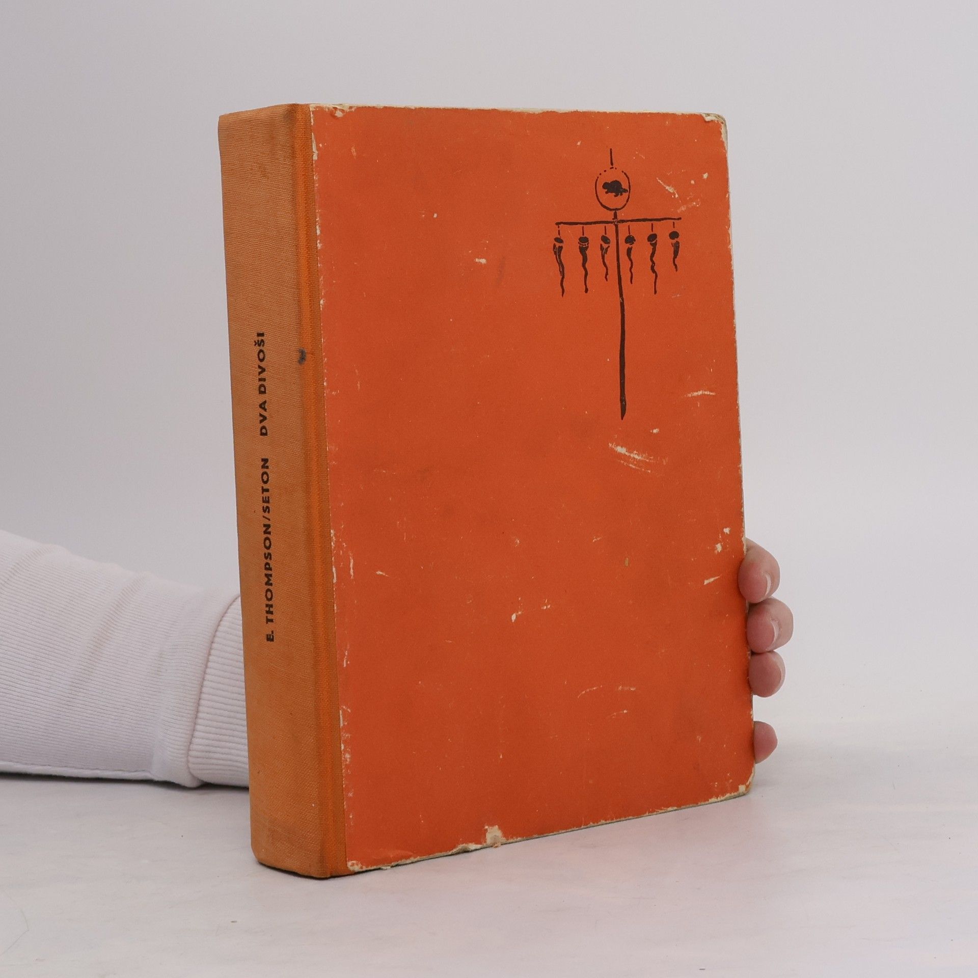 Ernest Thompson Seton Dva divoši