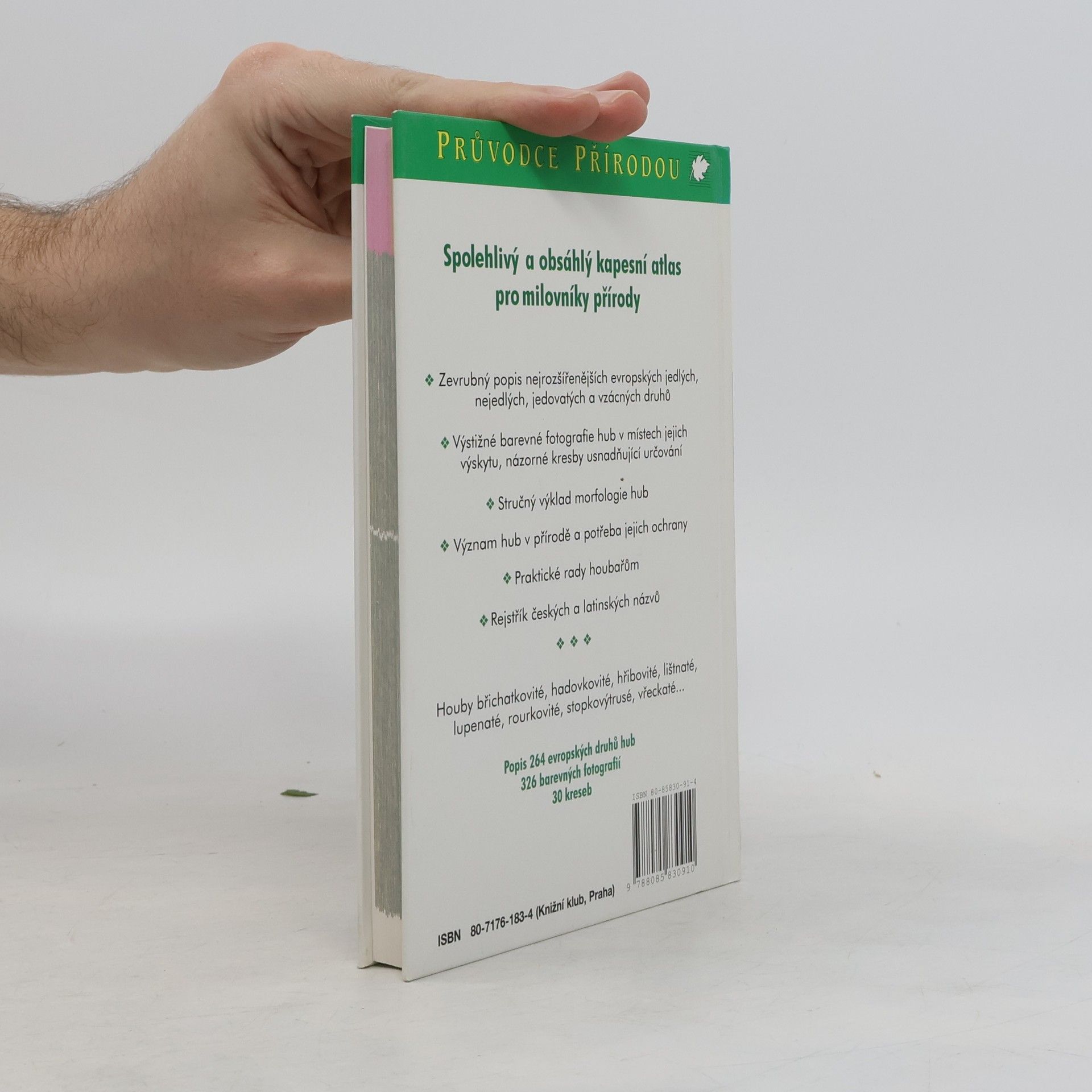 Renate Grünert Houby