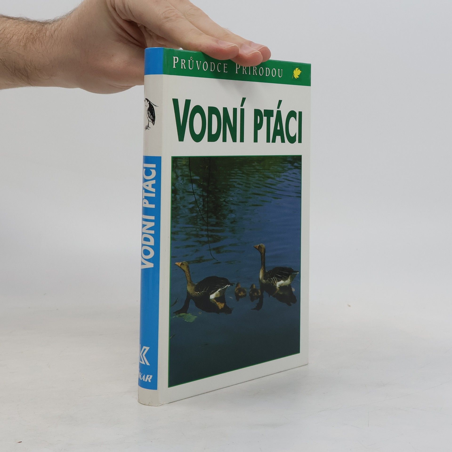 Friedhelm Sauer Vodní ptáci