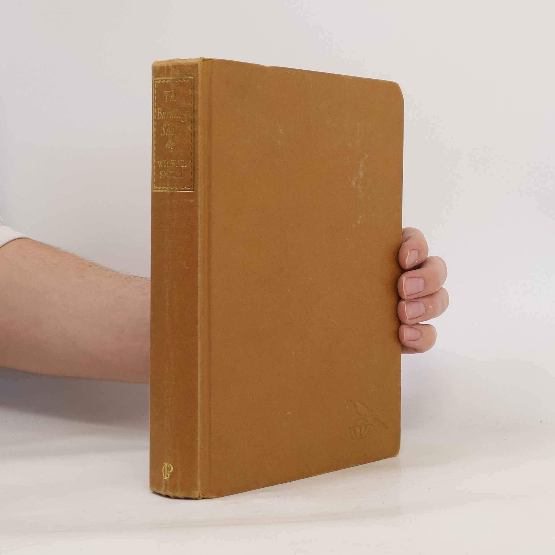 Wilbur Smith The Burning Shore