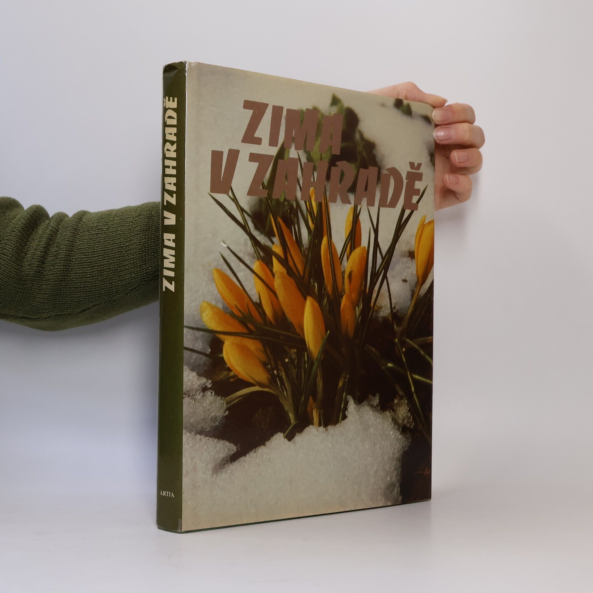 Kolektív autorov Zima v zahradě