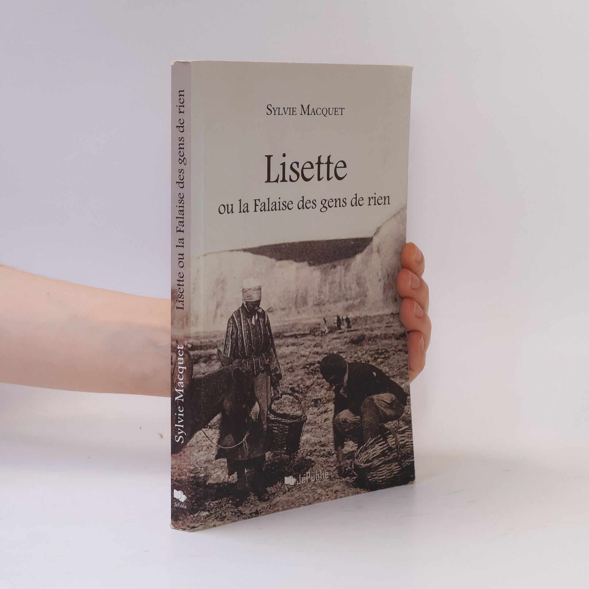 Sylvie Macquet Lisette ou la Falaise des gens de rien