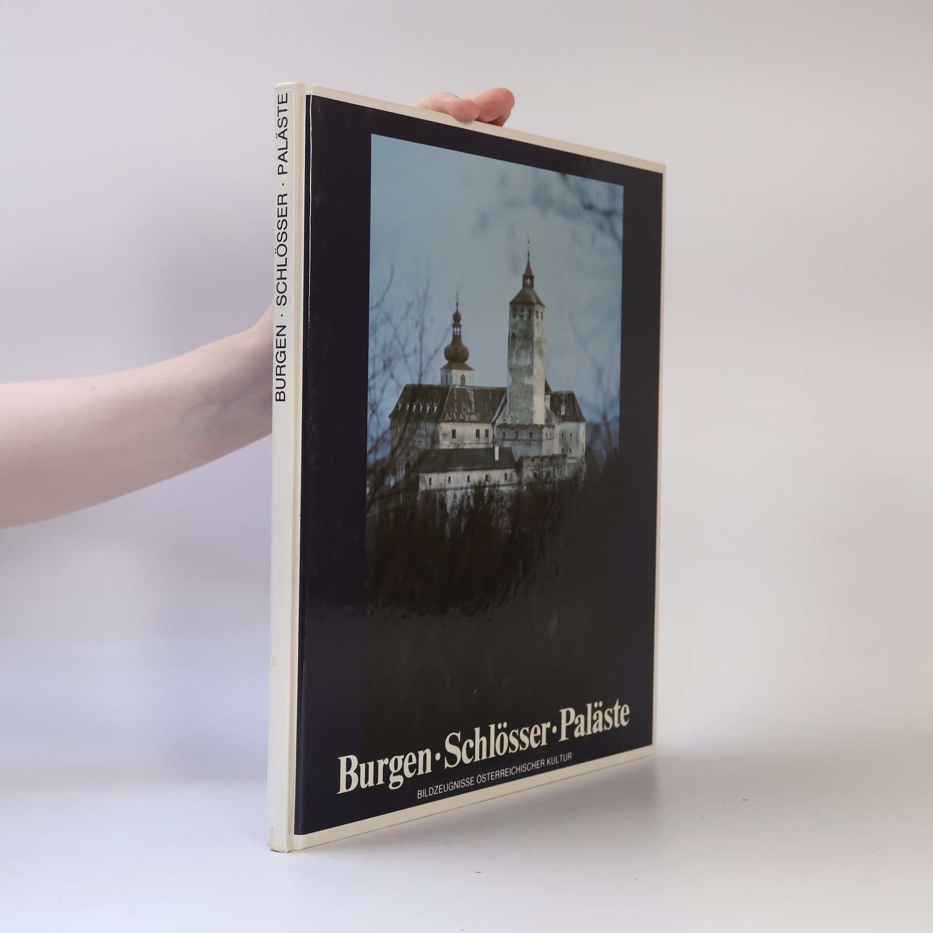 Christian Brandstätter Burgen, Schlösser, Paläste