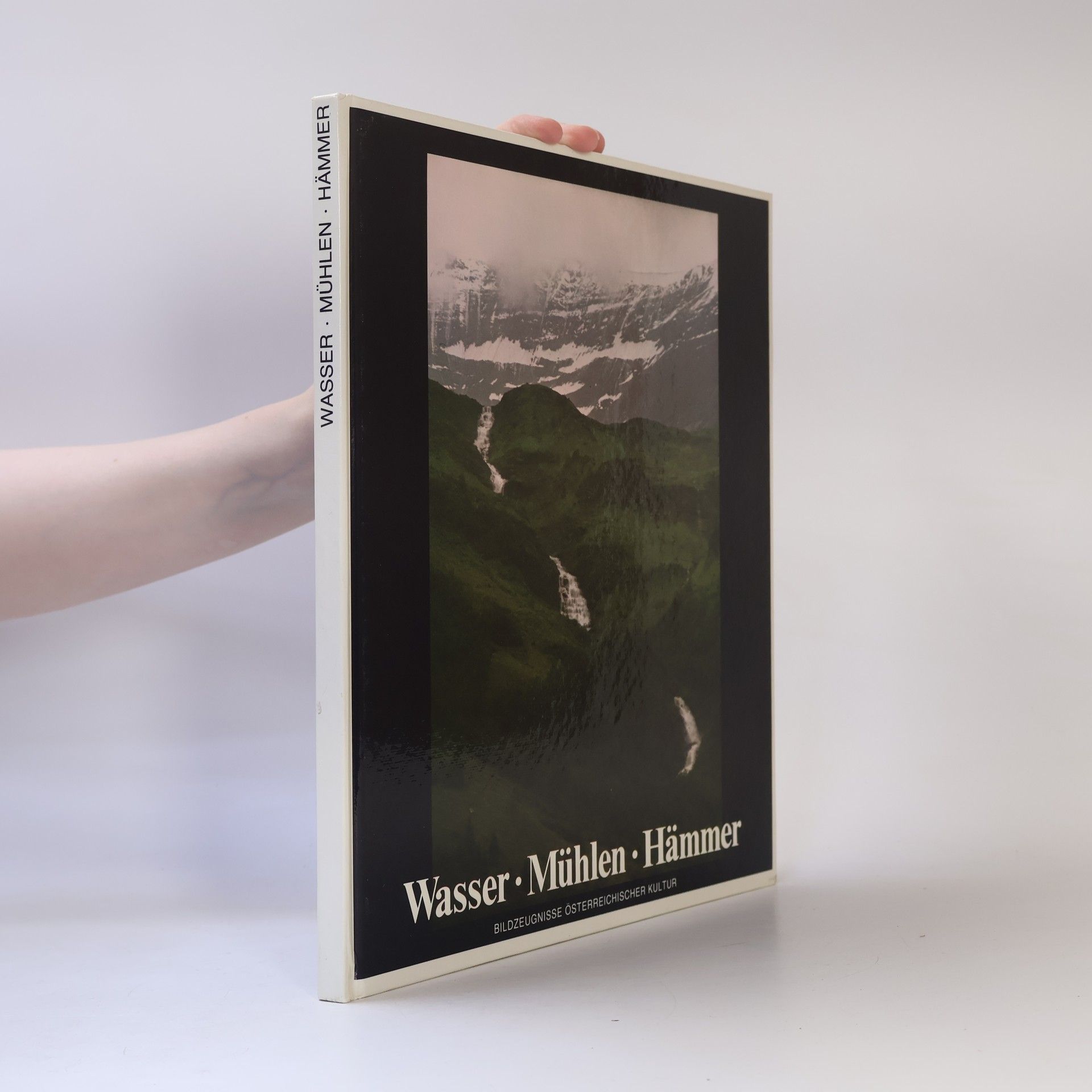 Christian Brandstätter Wasser, Mühlen, Hämmer