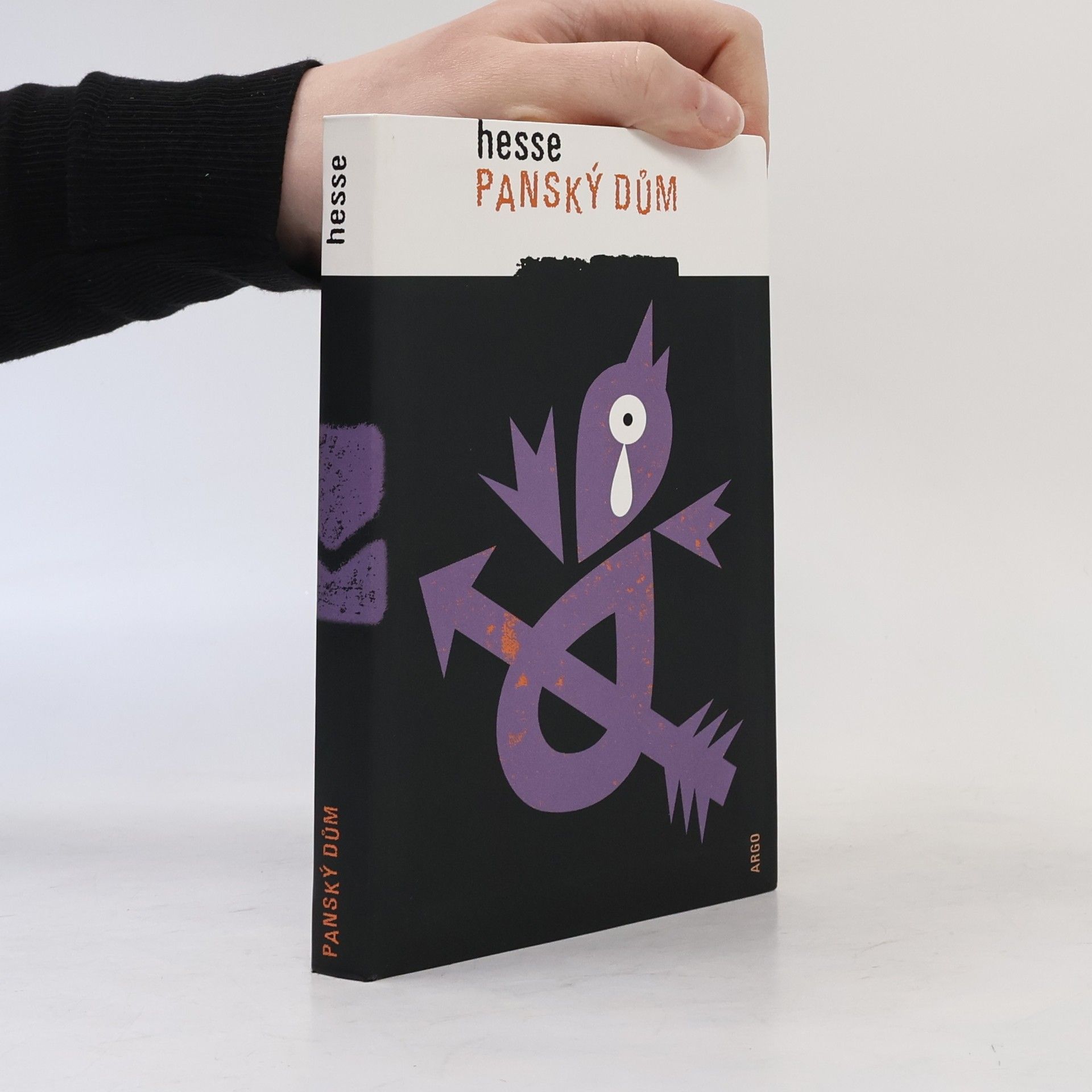 Hermann Hesse Panský dům