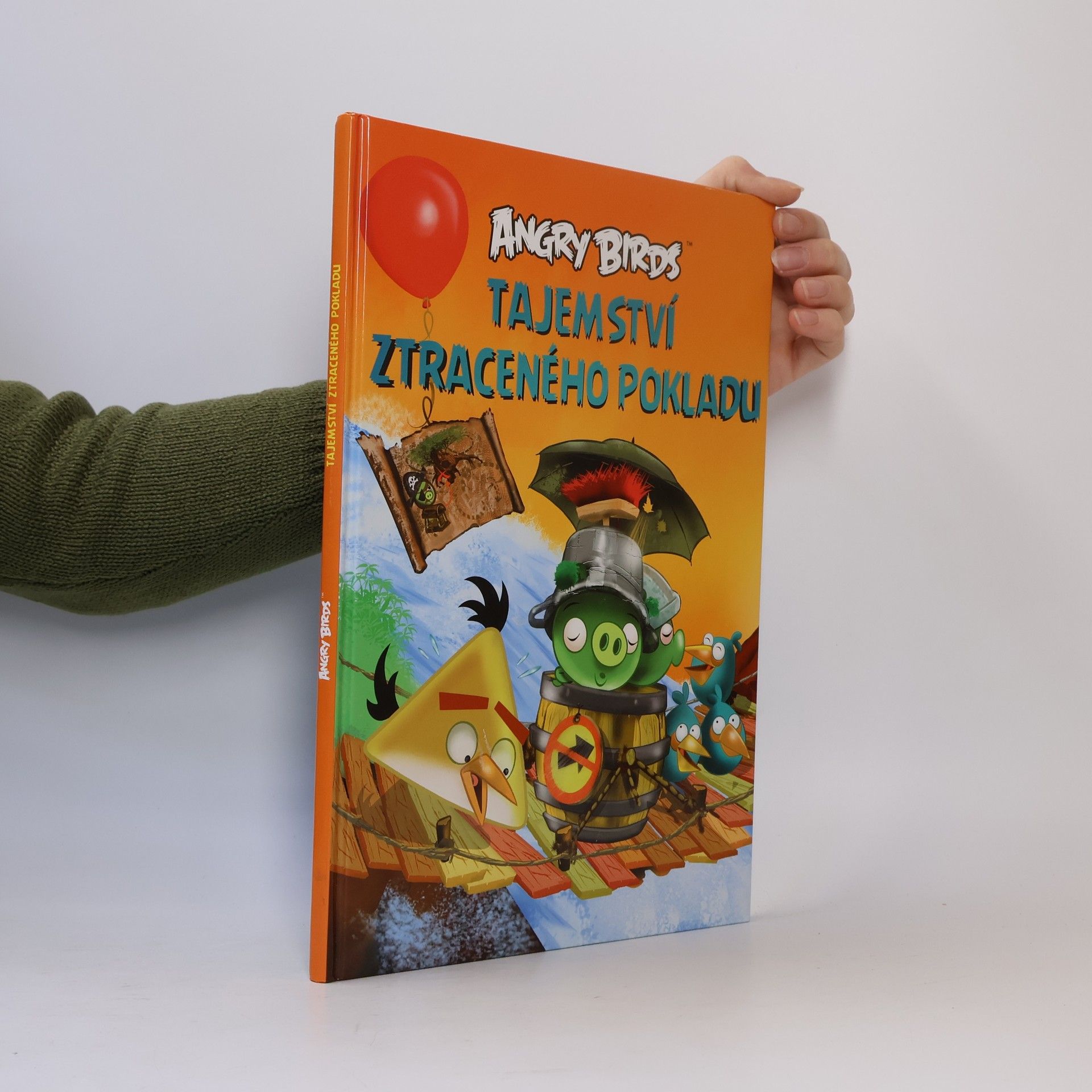 Jari Rasi Angry Birds. Tajemství ztraceného pokladu