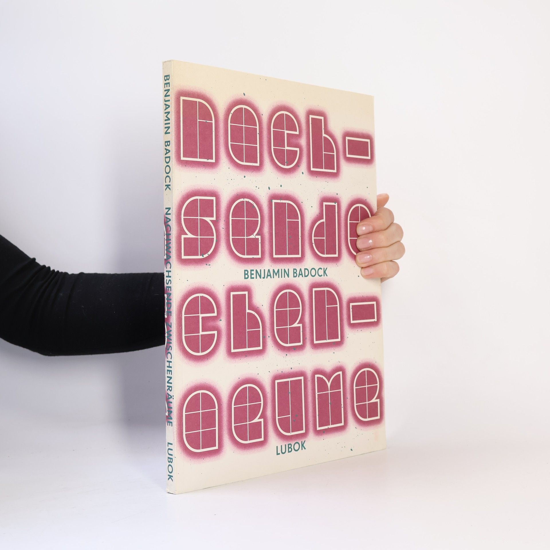 Sandra-Jo Huber Nachwachsende Zwischenräume