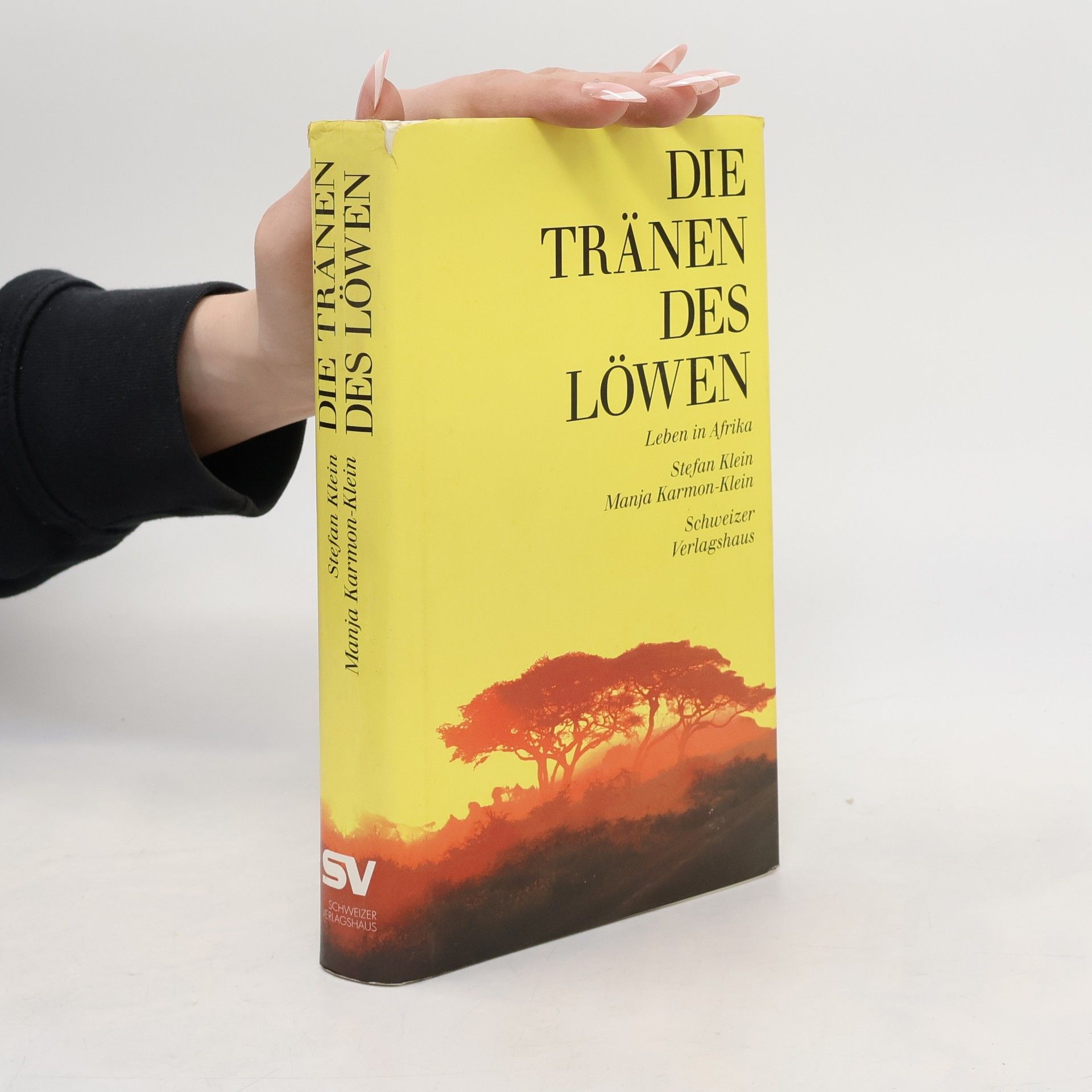 Manja Karmon-Klein Die Tränen des Löwen