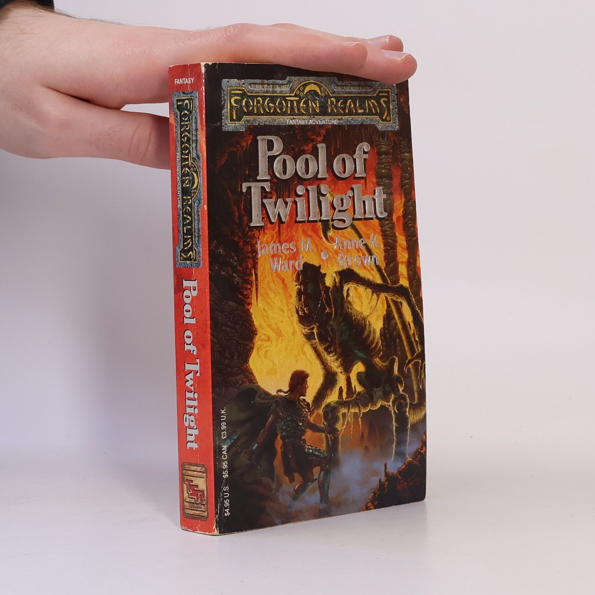 Forgotten Realms: Pools - 3: Pool of Twilight