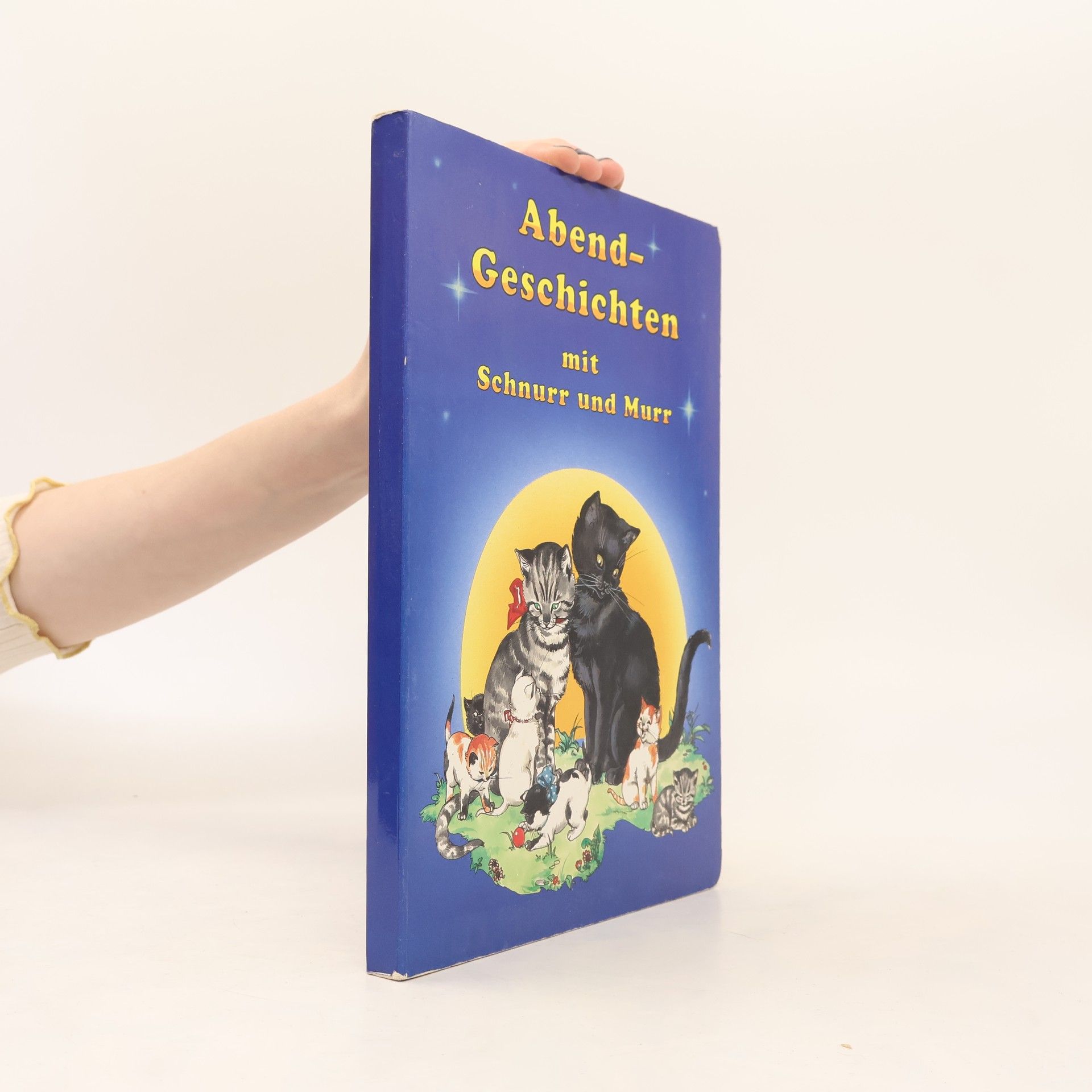 Autorenkollektiv Abend Geschichten mit Schnurr und Murr