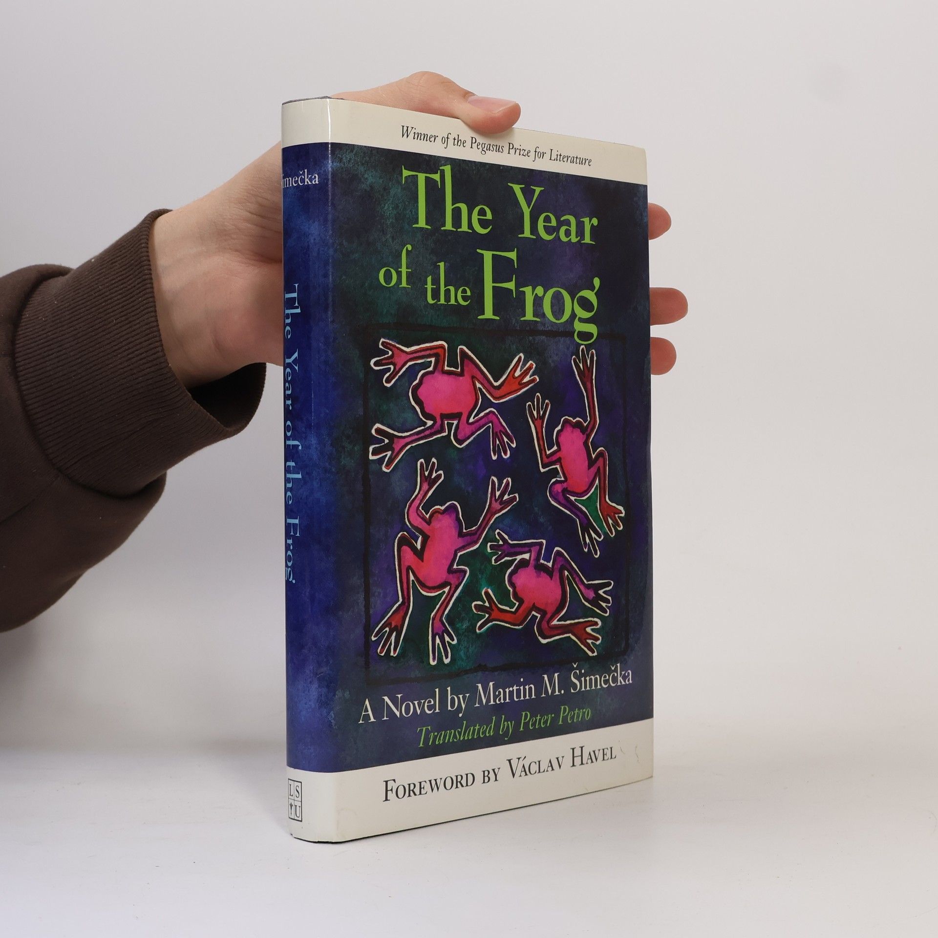 The year of the frog : a novel