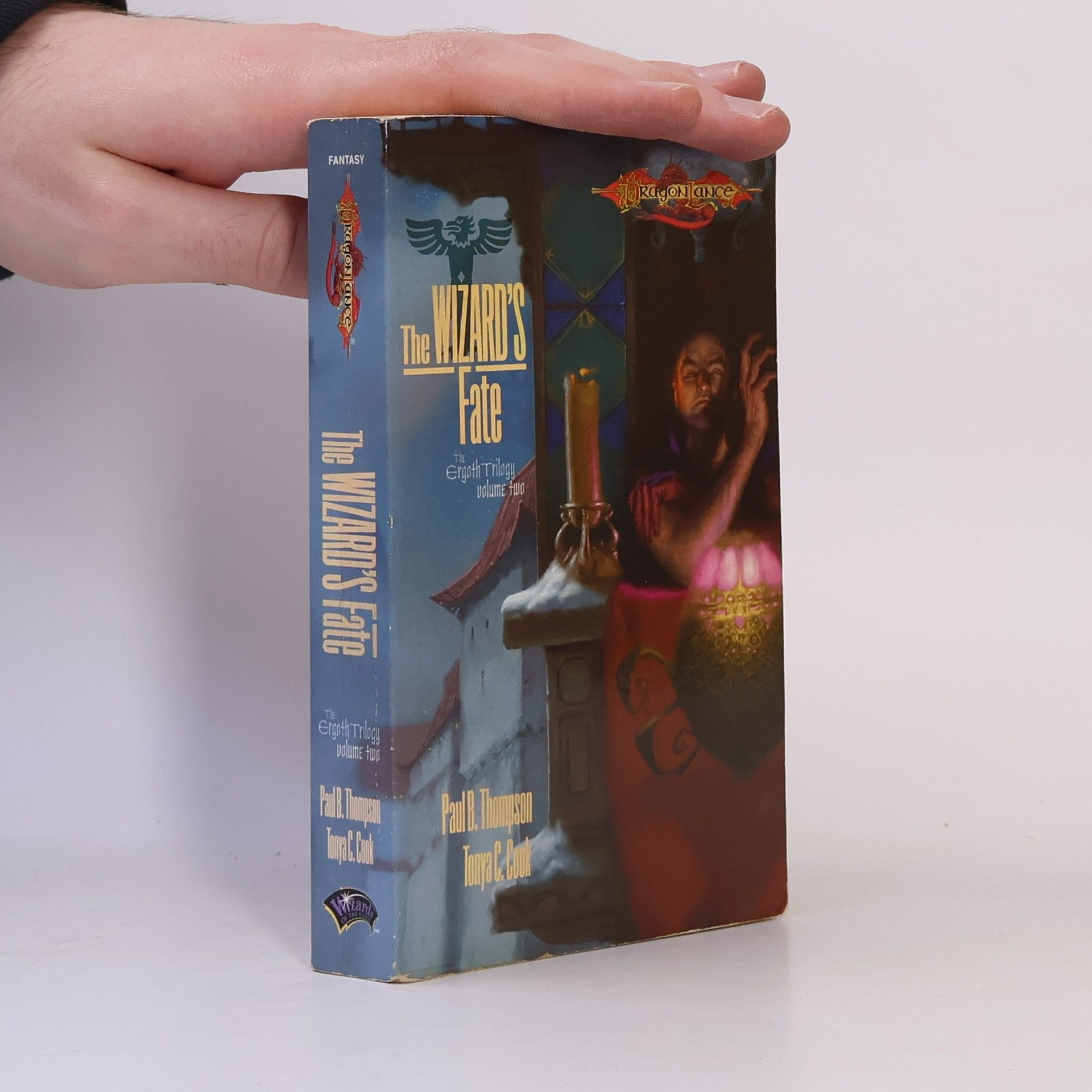 Tonya C. Cook The Wizards Fate 2