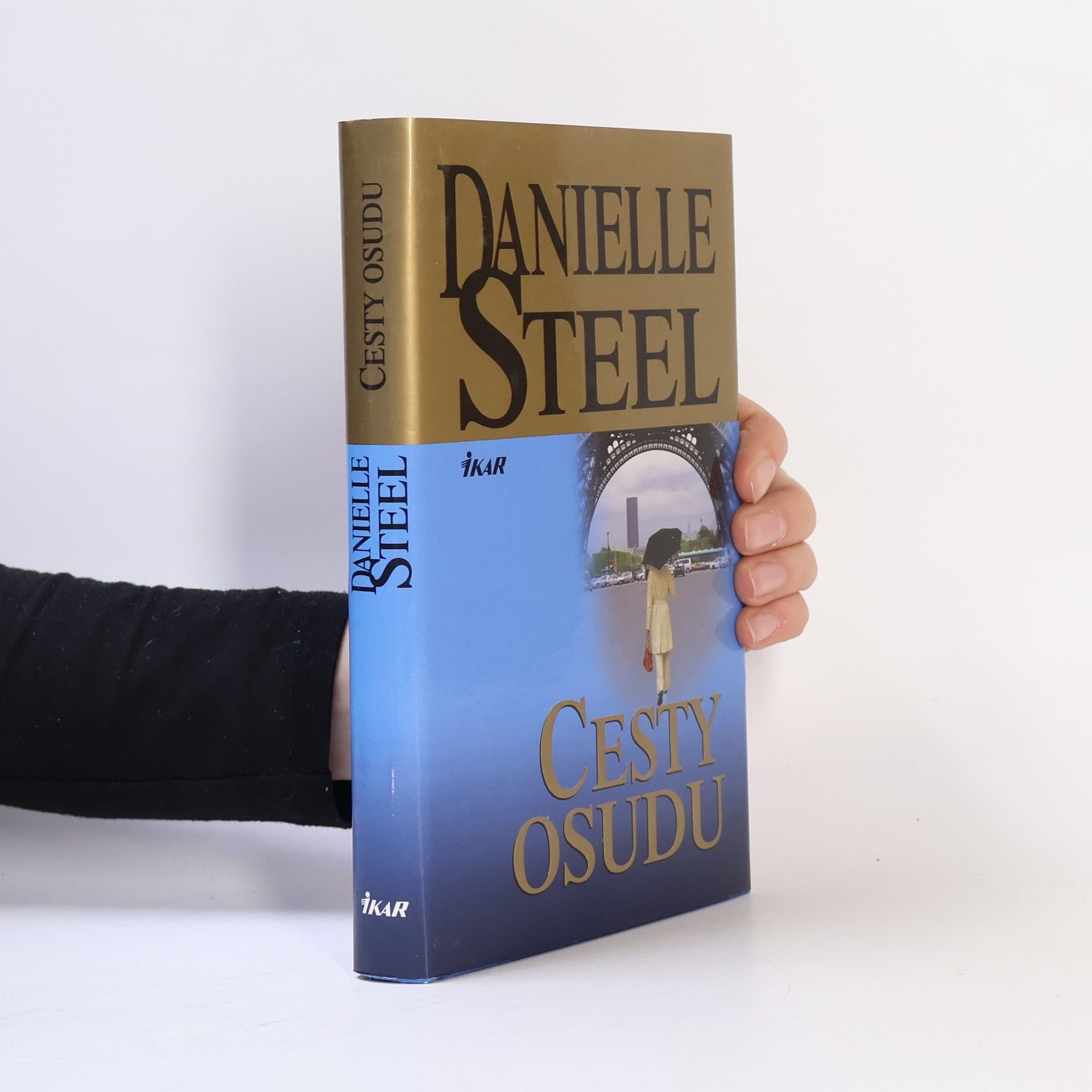 Danielle Steel Cesty osudu