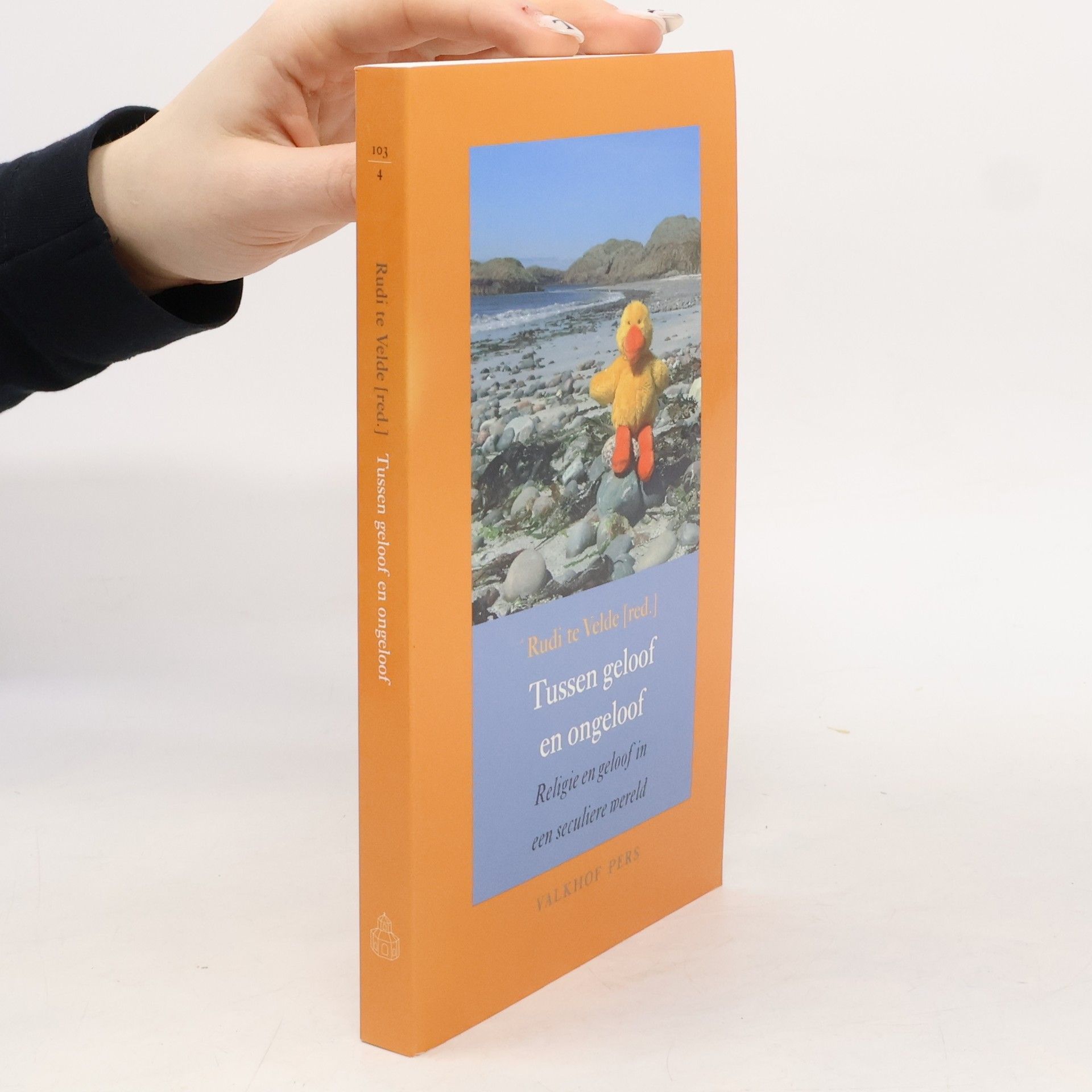 Rudi te Velde Tussen geloof en ongeloof