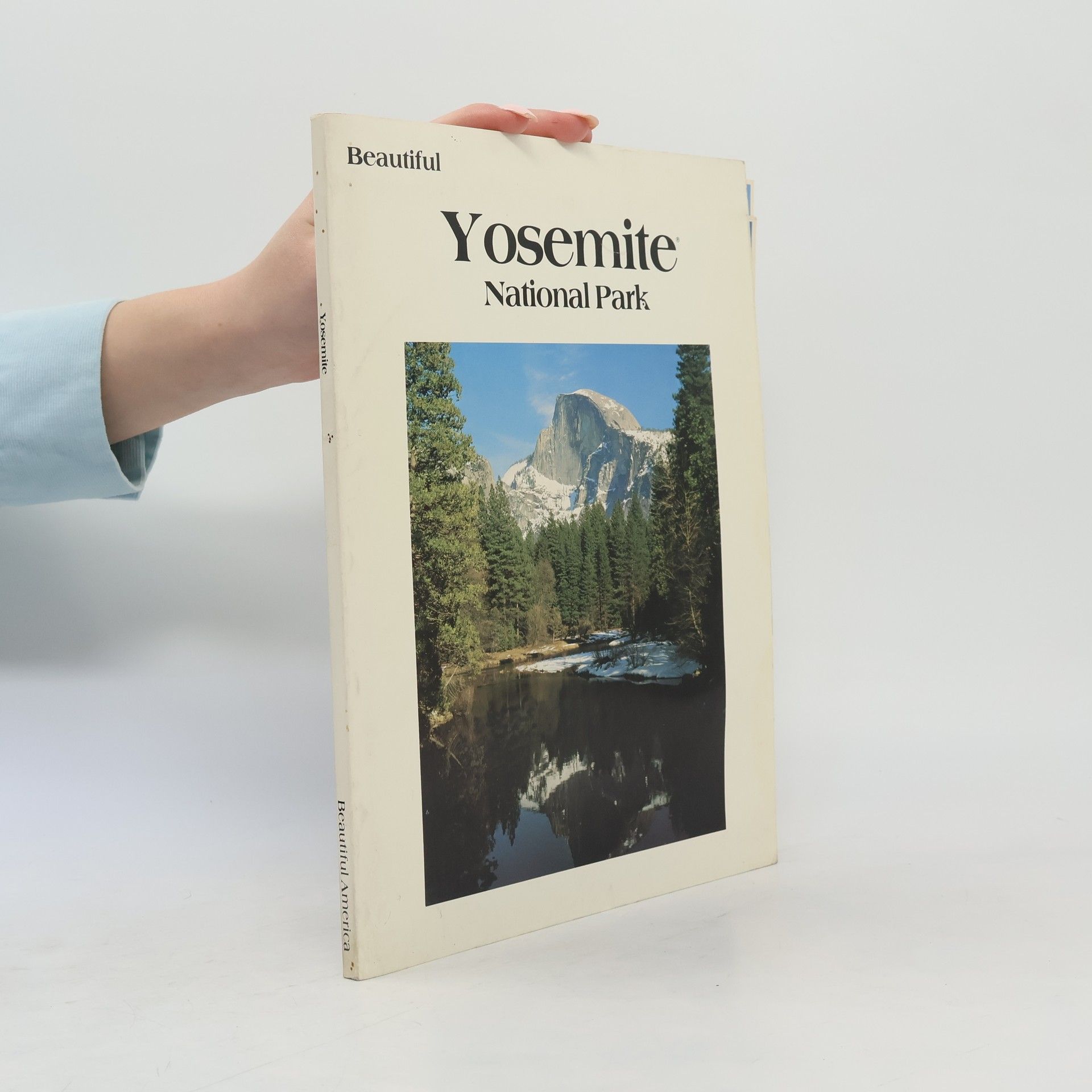 Robin Will Beautiful Yosemite National Park