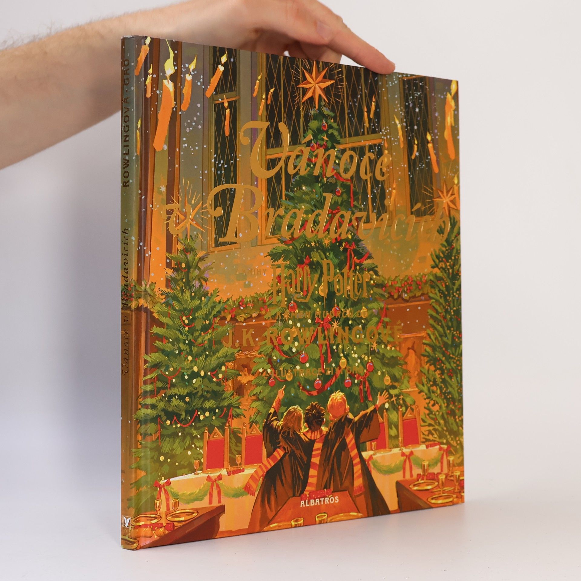 Ziyi Gao Vánoce v Bradavicích