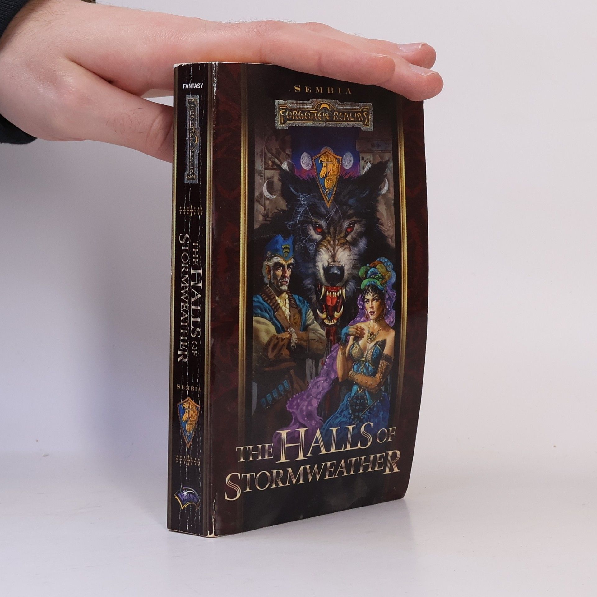 Philip Athans The Halls of Stormweather