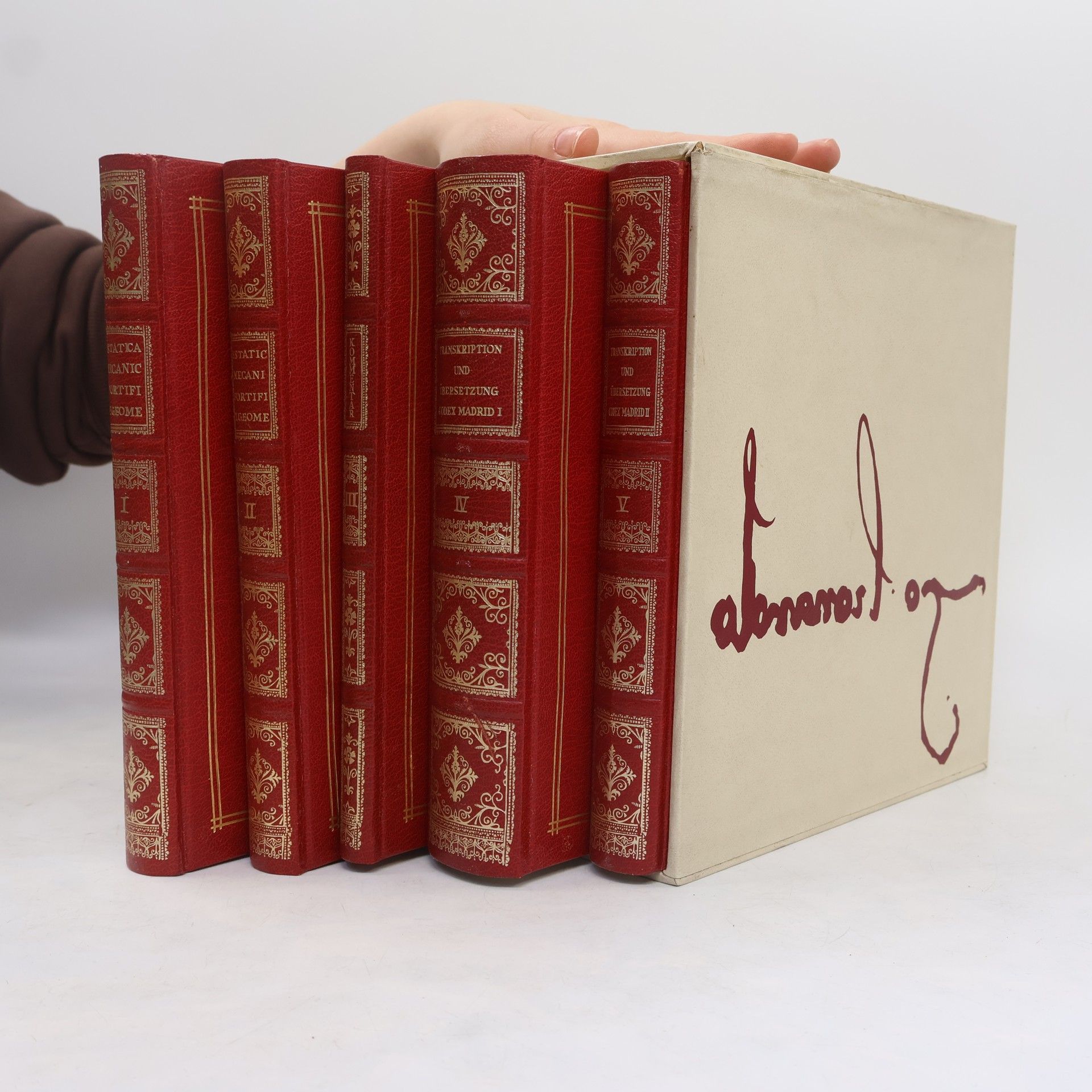 Leonardo da Vinci Codices Madrid 1-5 Band